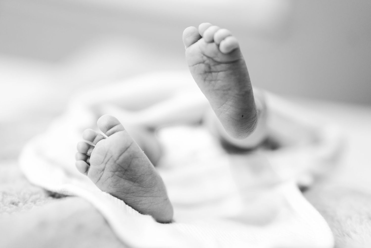 Close-up black and white photo of newborn baby feet resting on a soft white blanket.