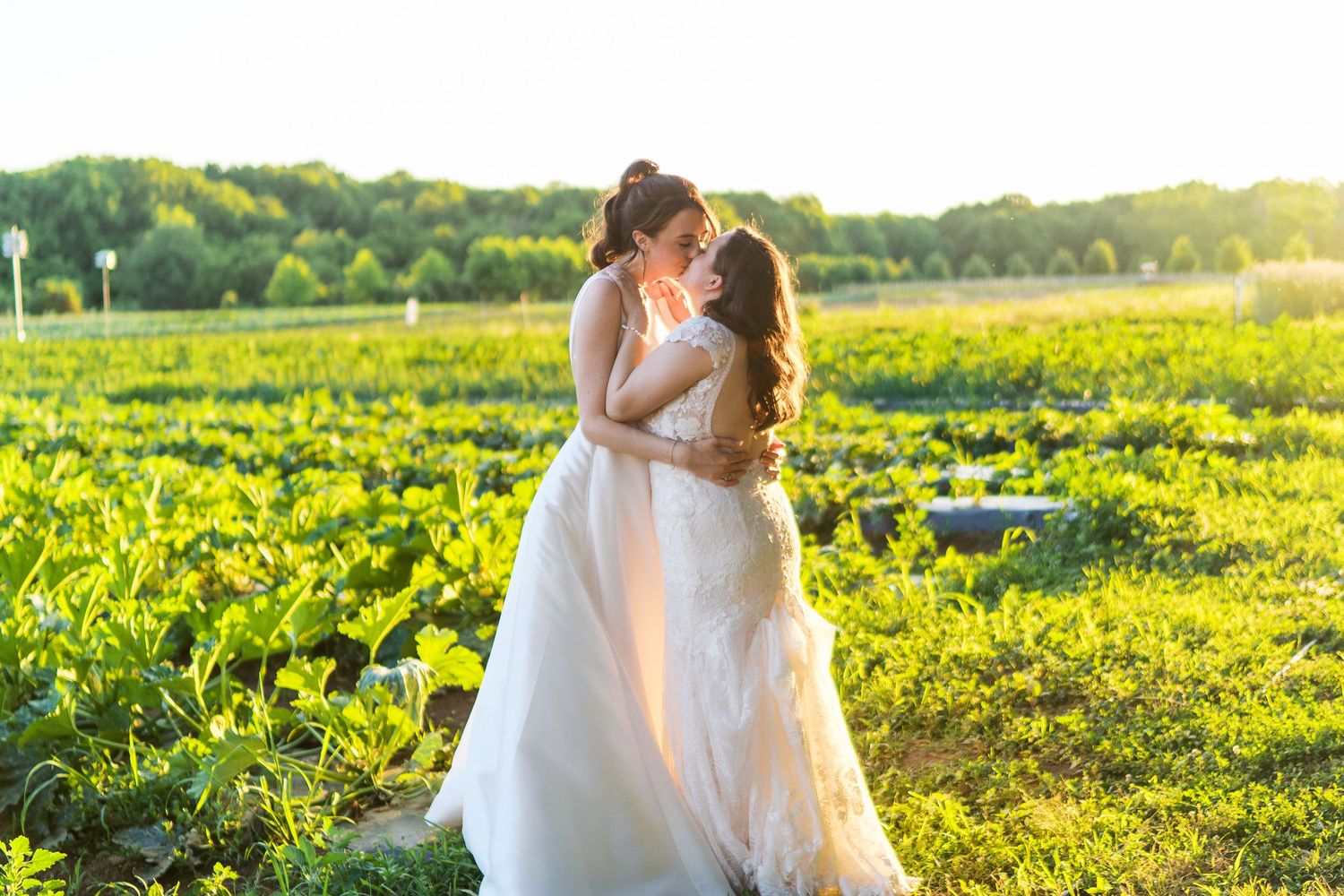 Fernbrook farms Philly wedding photography  Two brides in white gowns embrace and kiss in a sunlit green field on their wedding day.