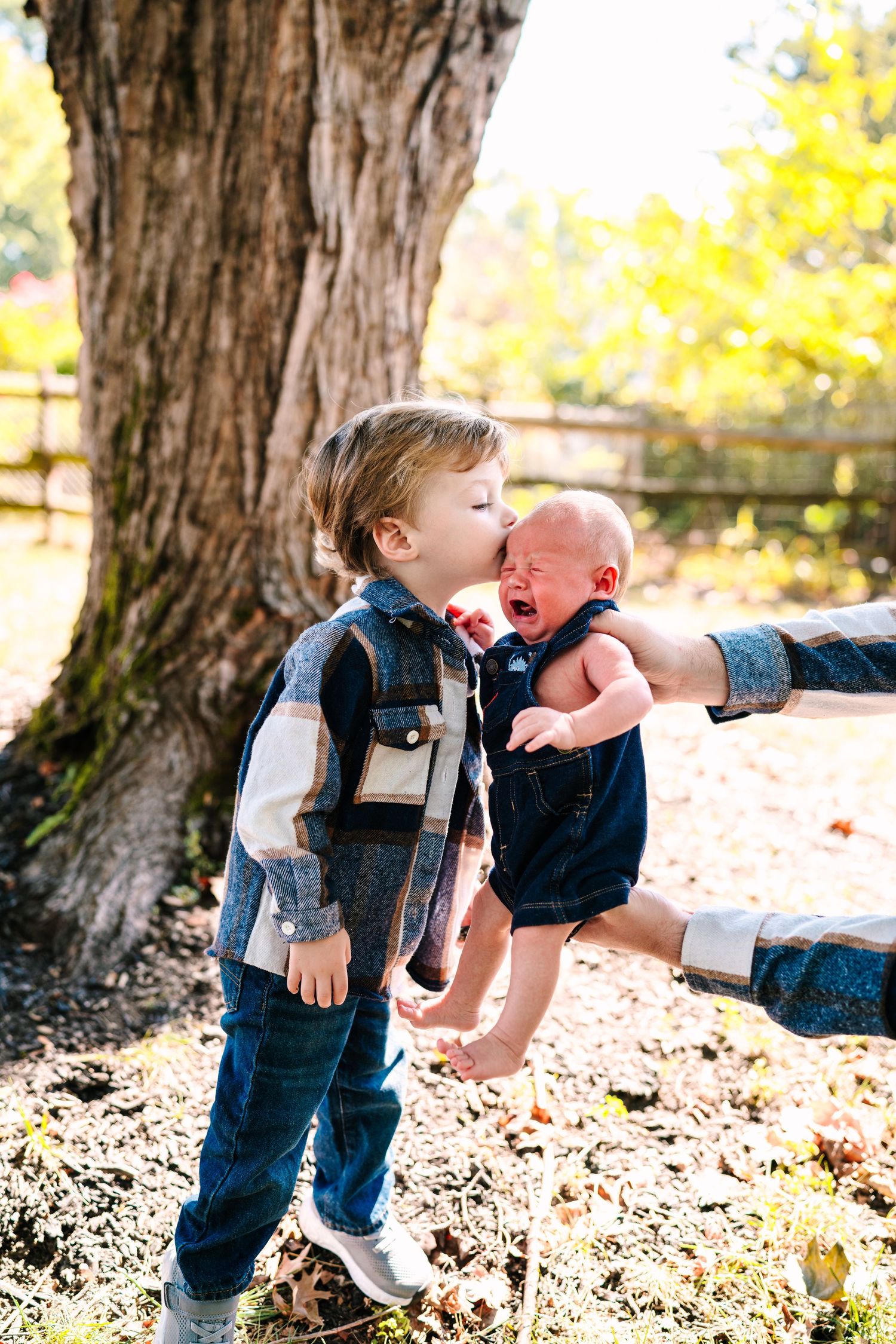 Young toddler boy kissing crying newborn baby held by adult hands outdoors near large tree in autumn.