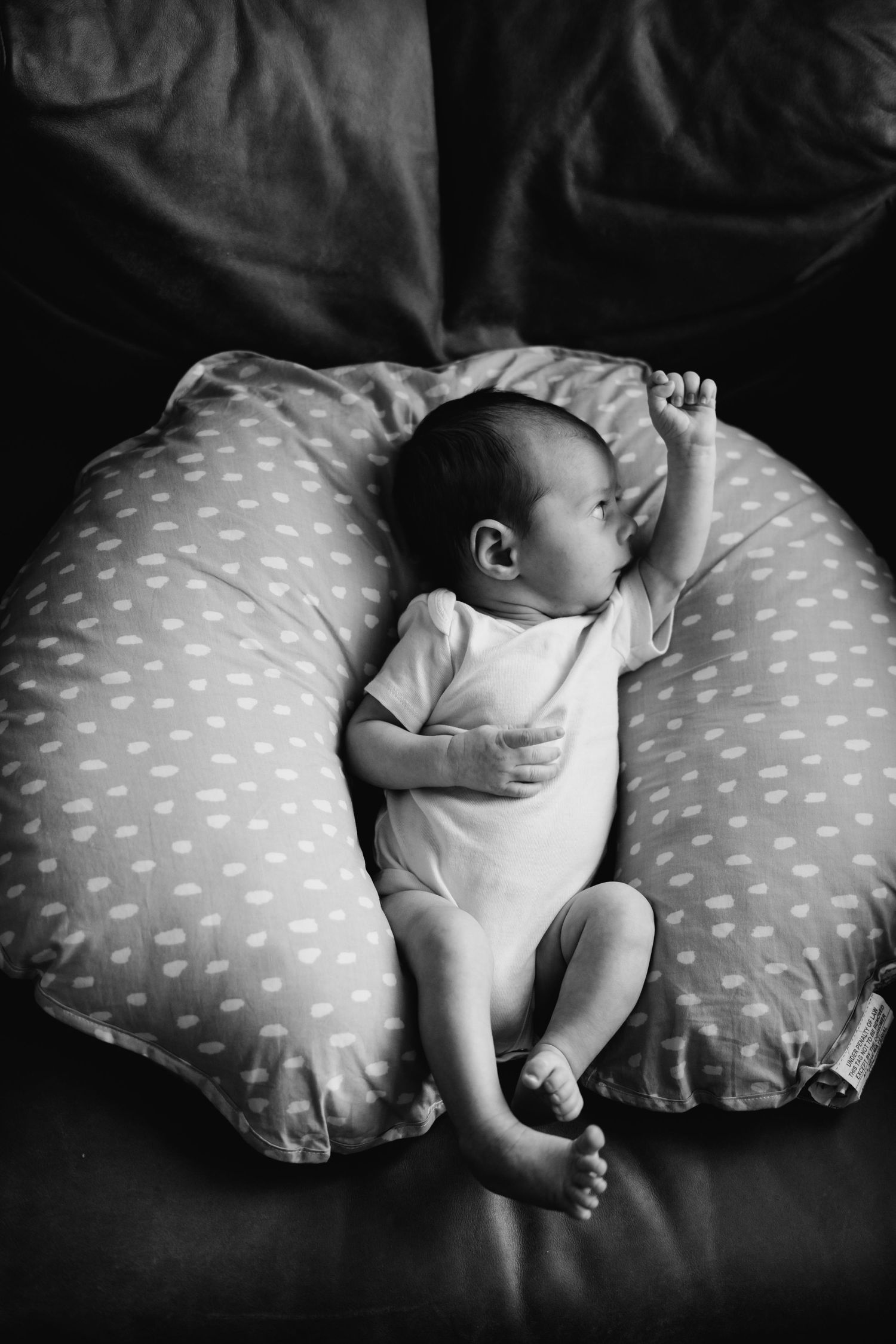 Black and white photo of a newborn baby lying on a polka dot nursing pillow with one arm raised.