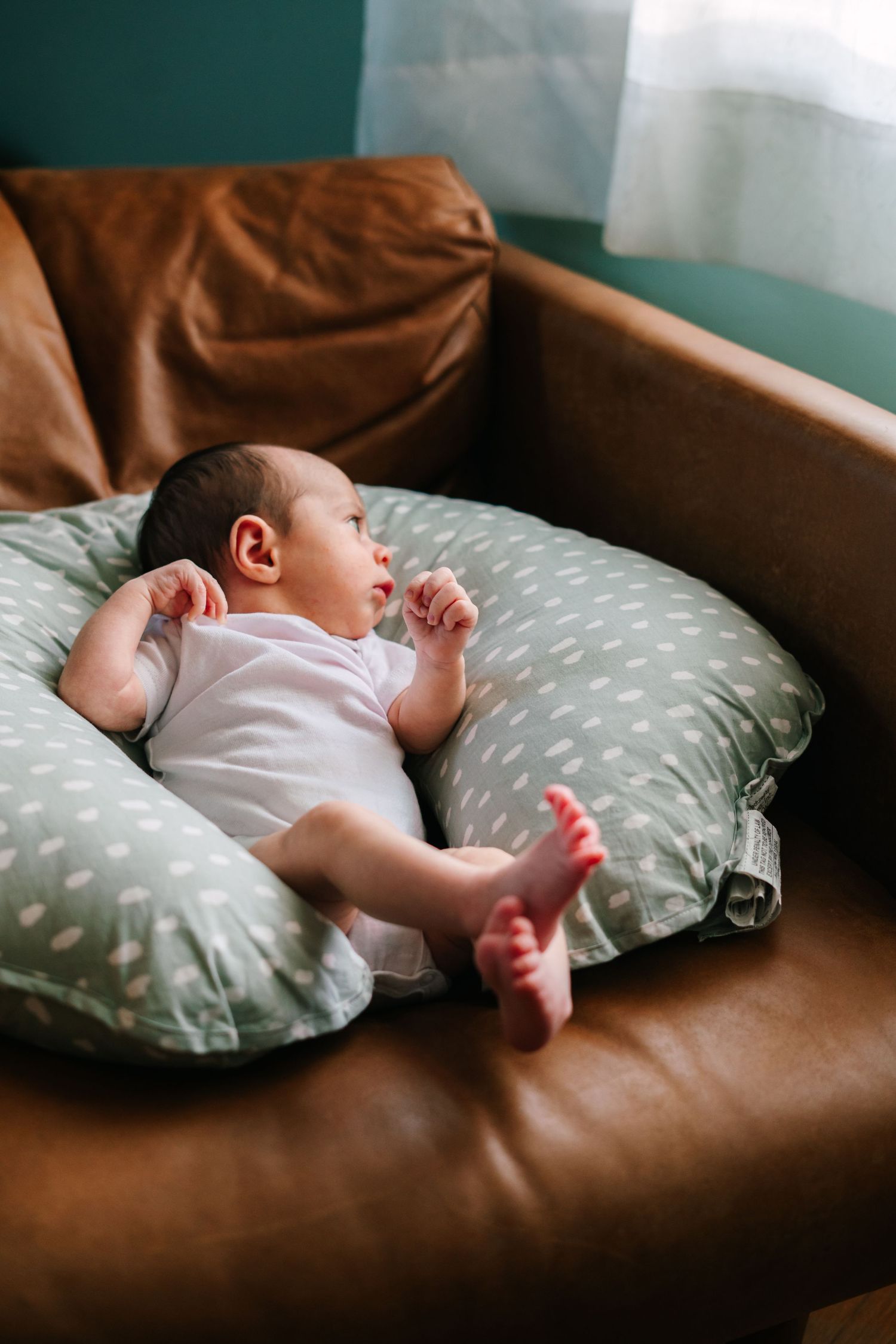 Newborn baby resting on a green nursing pillow on a brown leather sofa.