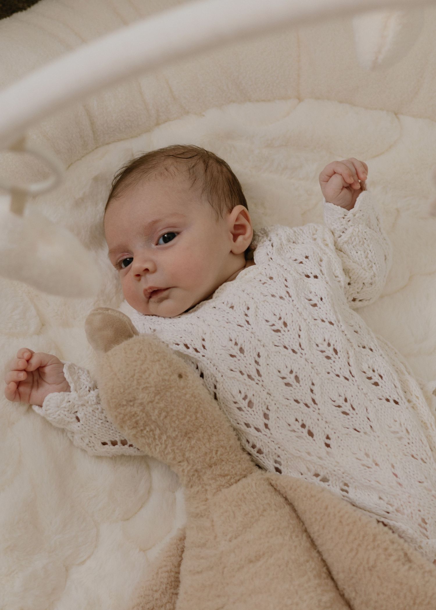 In home newborn photography session Wagga Wagga