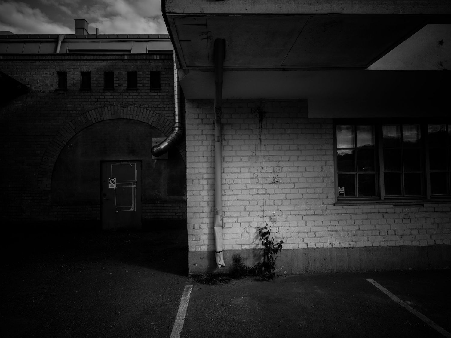 Dark black and white photo of a white brick building corner with drainpipe and small plant.