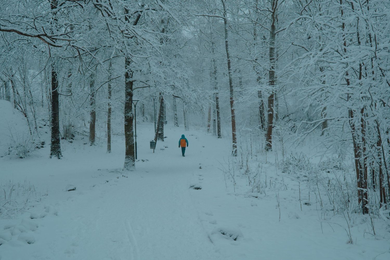 Lone hiker in orange jacket walking through a snow-covered forest path in winter.