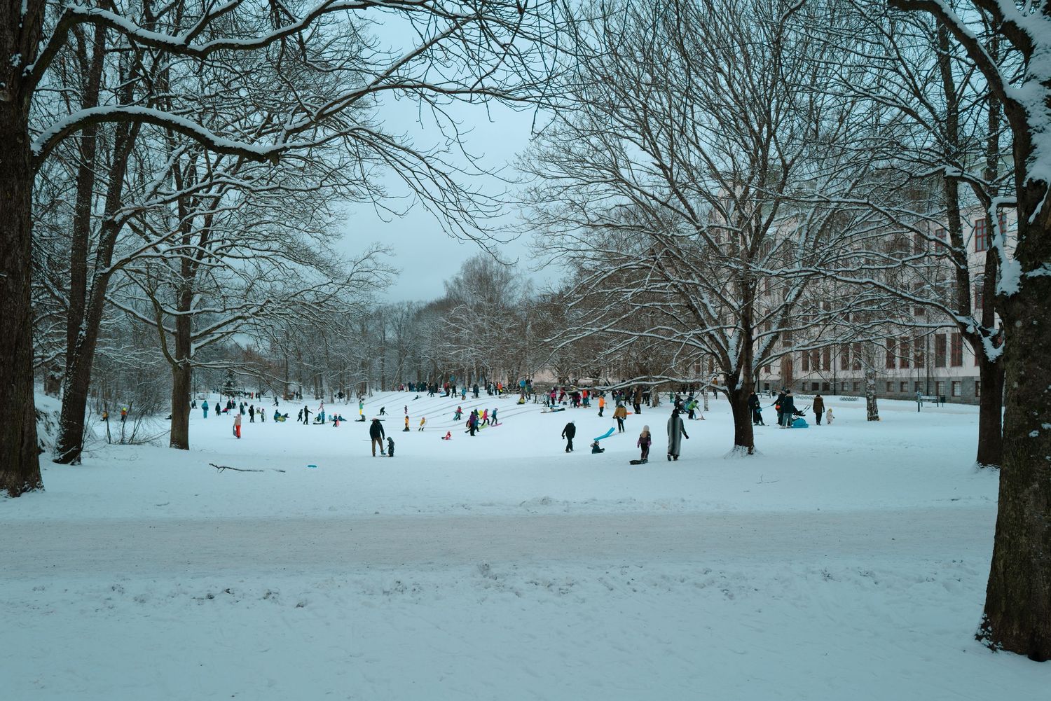 People playing in snow-covered park surrounded by bare winter trees on a grey day.