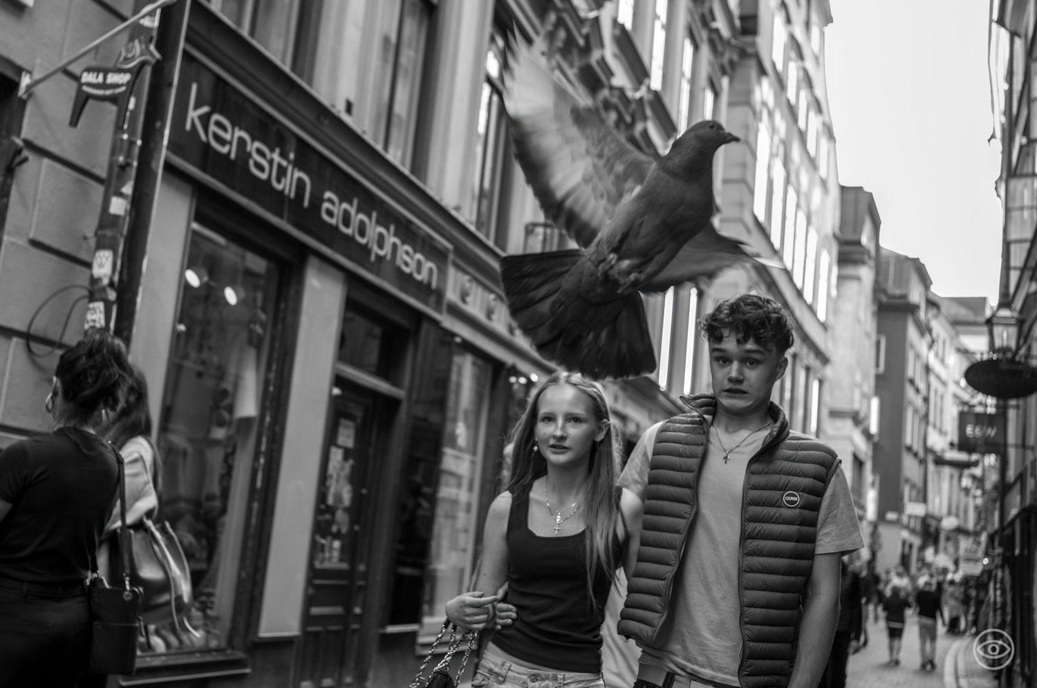 Young couple walking on a shopping street with a pigeon flying overhead, black and white photo.