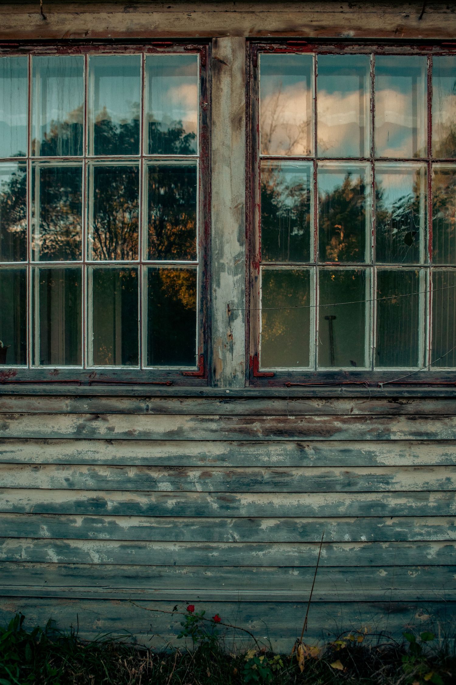 Weathered wooden building with old multi-pane windows reflecting autumn trees.