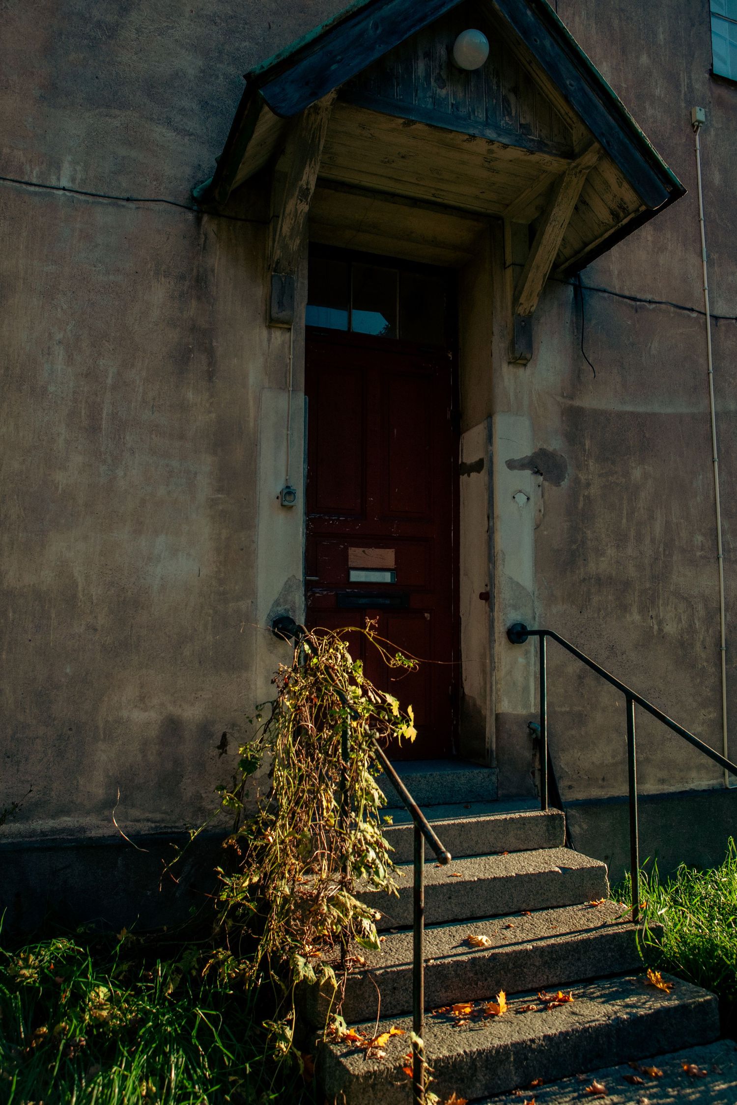 Weathered building entrance with red door, stone steps, and wilting vines in autumn light.