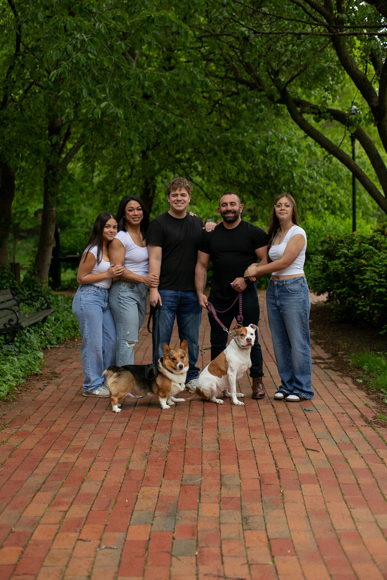 Five family members posing with two dogs on a brick path surrounded by green trees in a park during family photos by Candid House Studios.