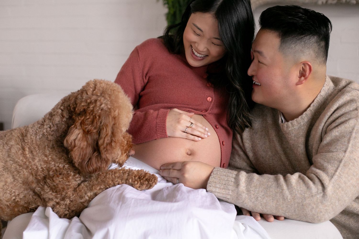 Happy pregnant couple smiling as fluffy brown poodle sniffs expecting mother's bare baby bump on bed. By Candid House Studios, Syracuse, NY