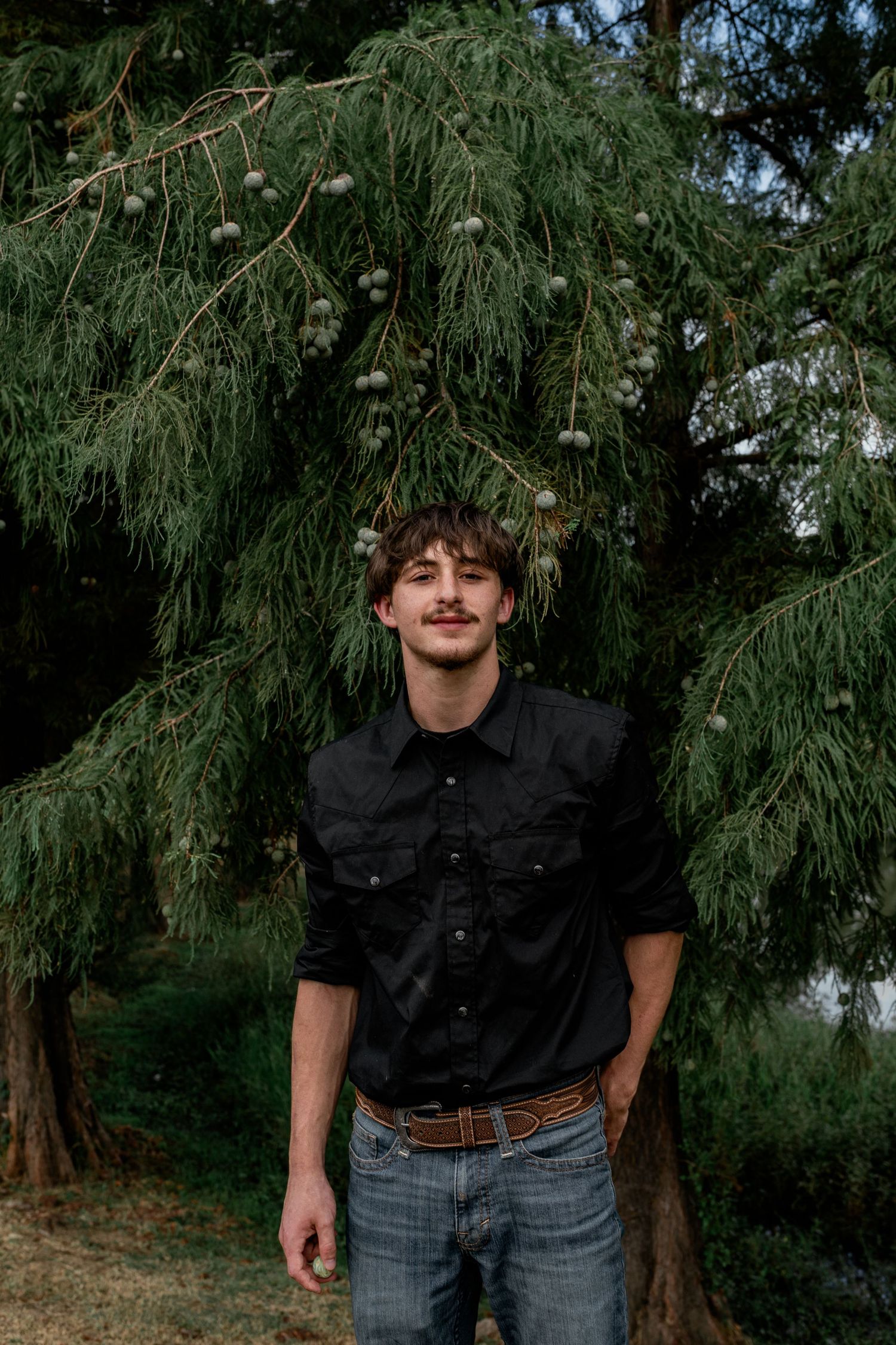 Young man in black shirt and jeans standing under pine tree branches outdoors.