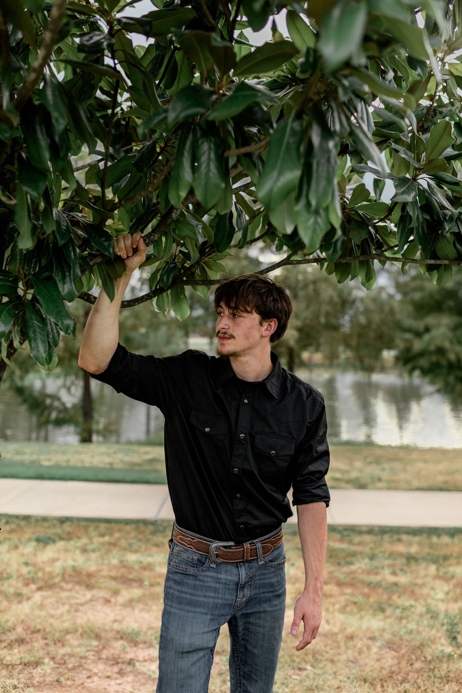 Young man in black shirt reaching up to touch leaves of a large magnolia tree in a park.