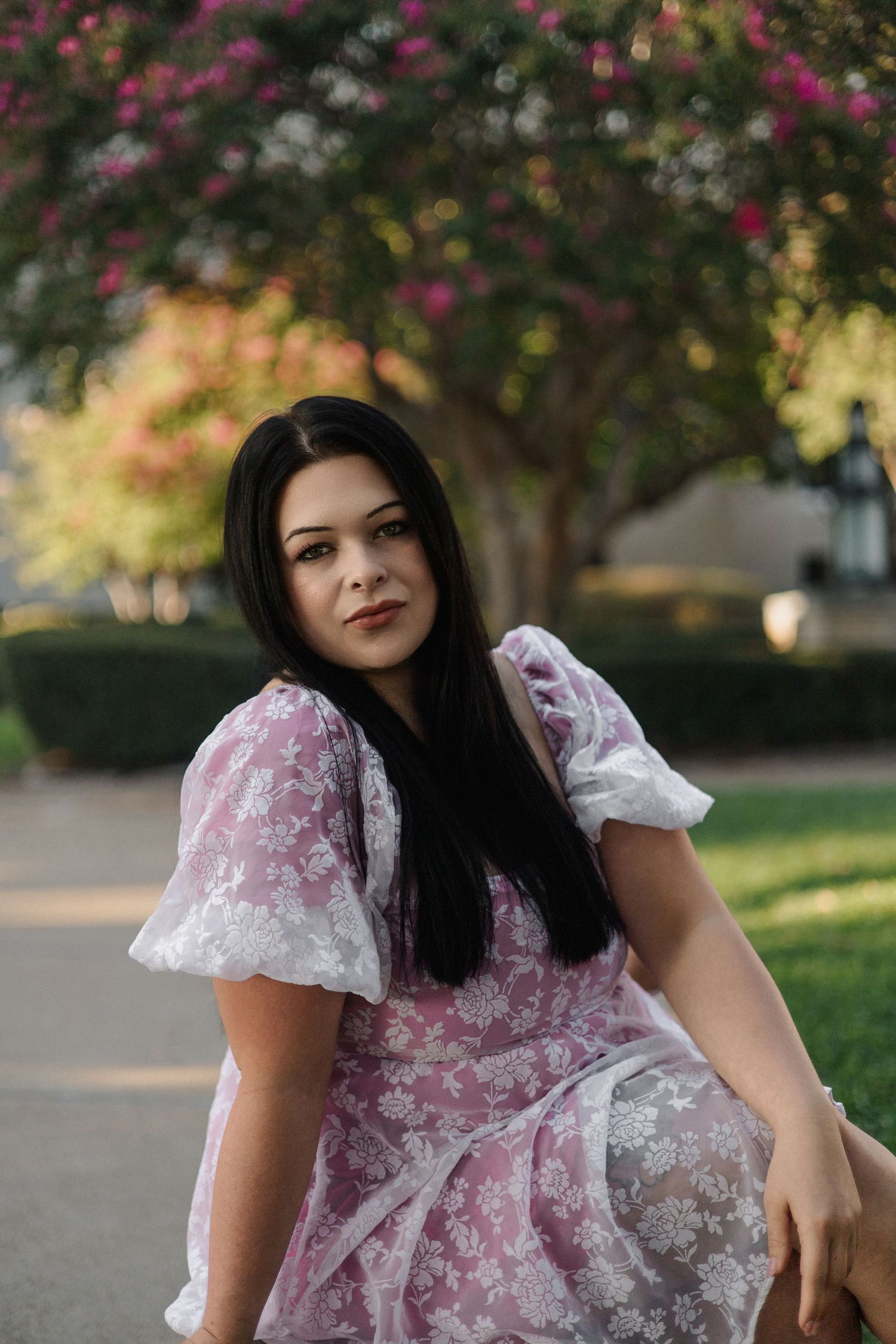 Gregg County Courthouse Portrait