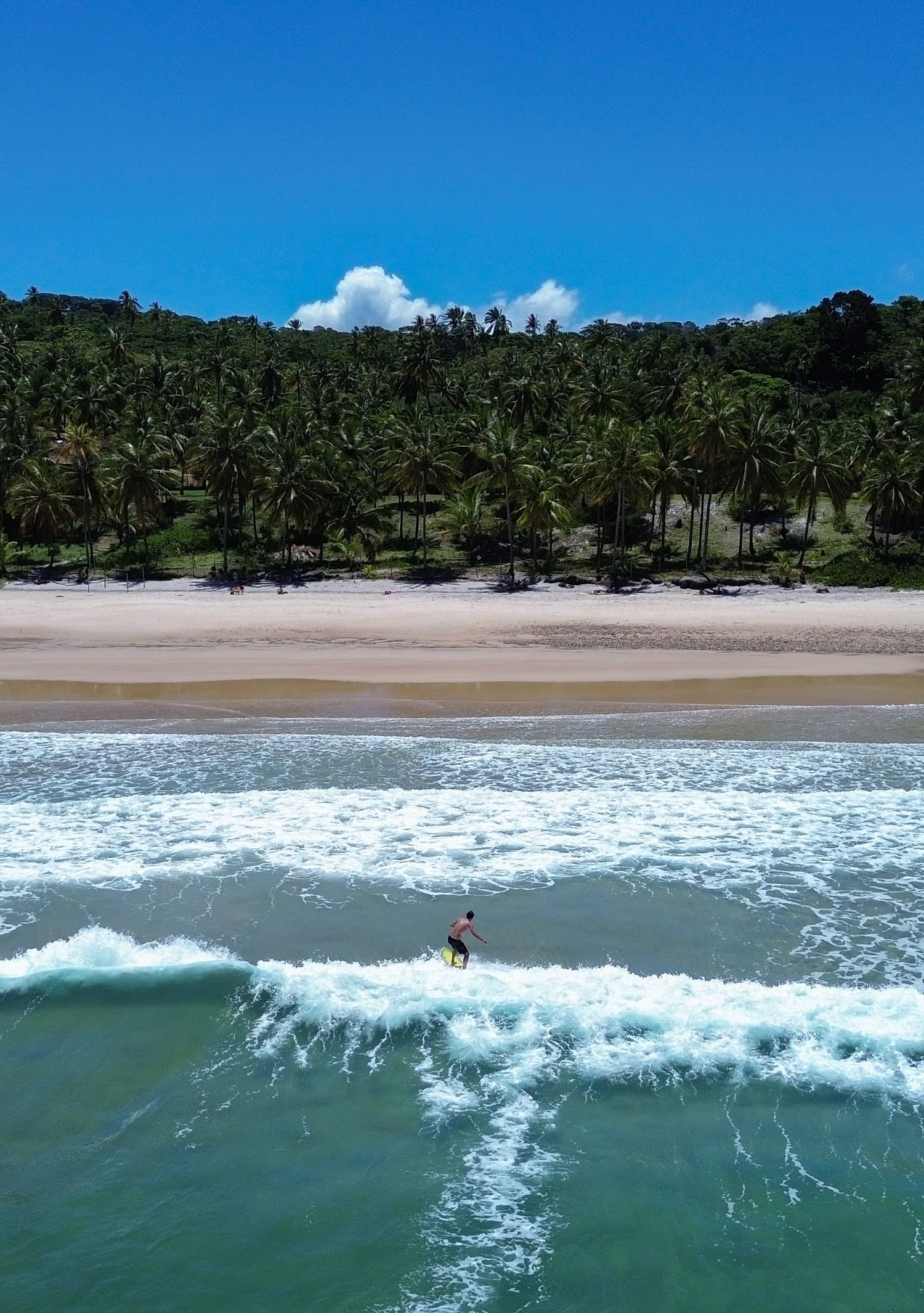 Reportage photo Bahia - Vue aérienne d'un surfeur dans les vagues face à une plage de cocotiers, Itacaré, Bahia