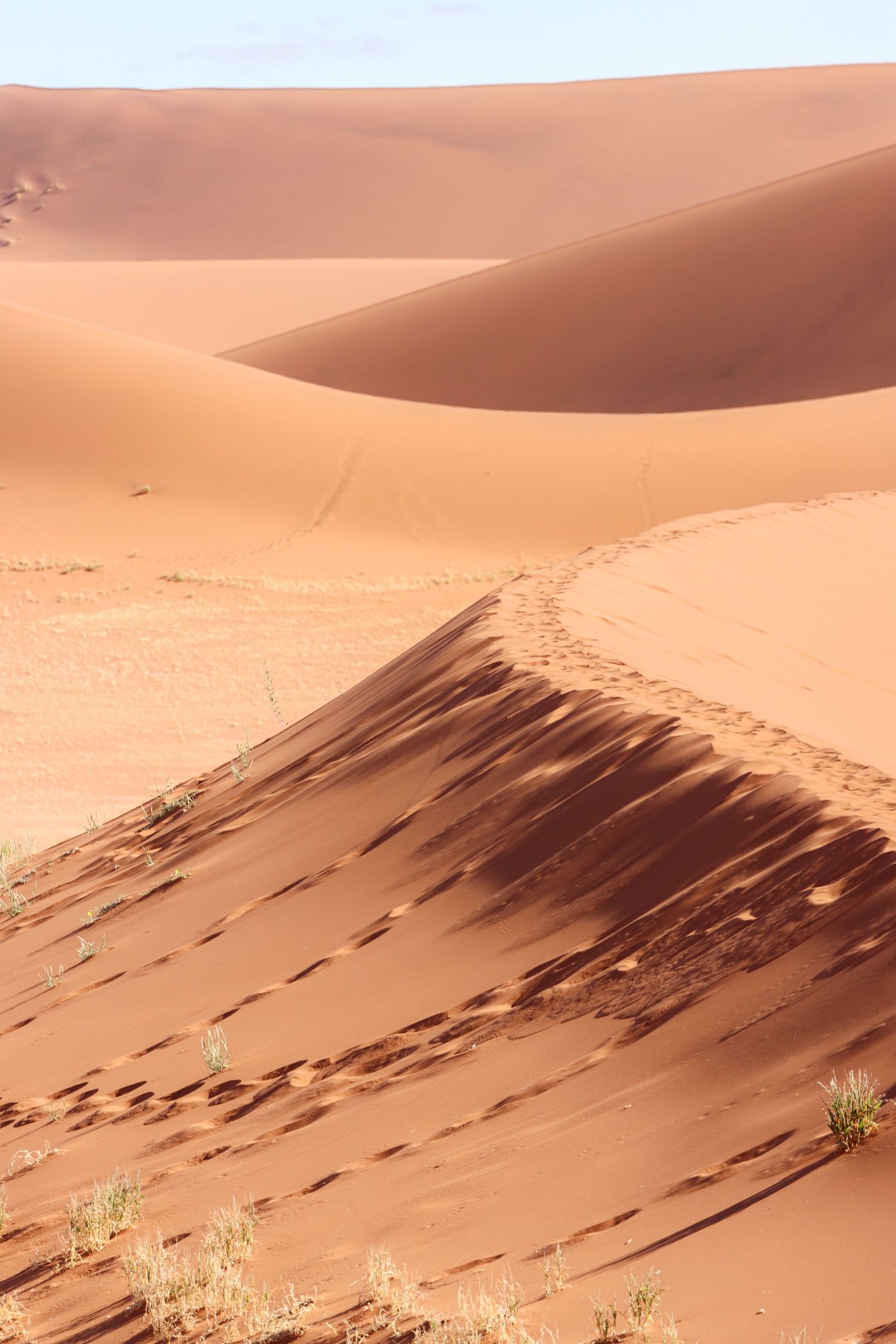 Crête de dune dessinée par l'ombre et le vent — Sossusvlei, Namibie