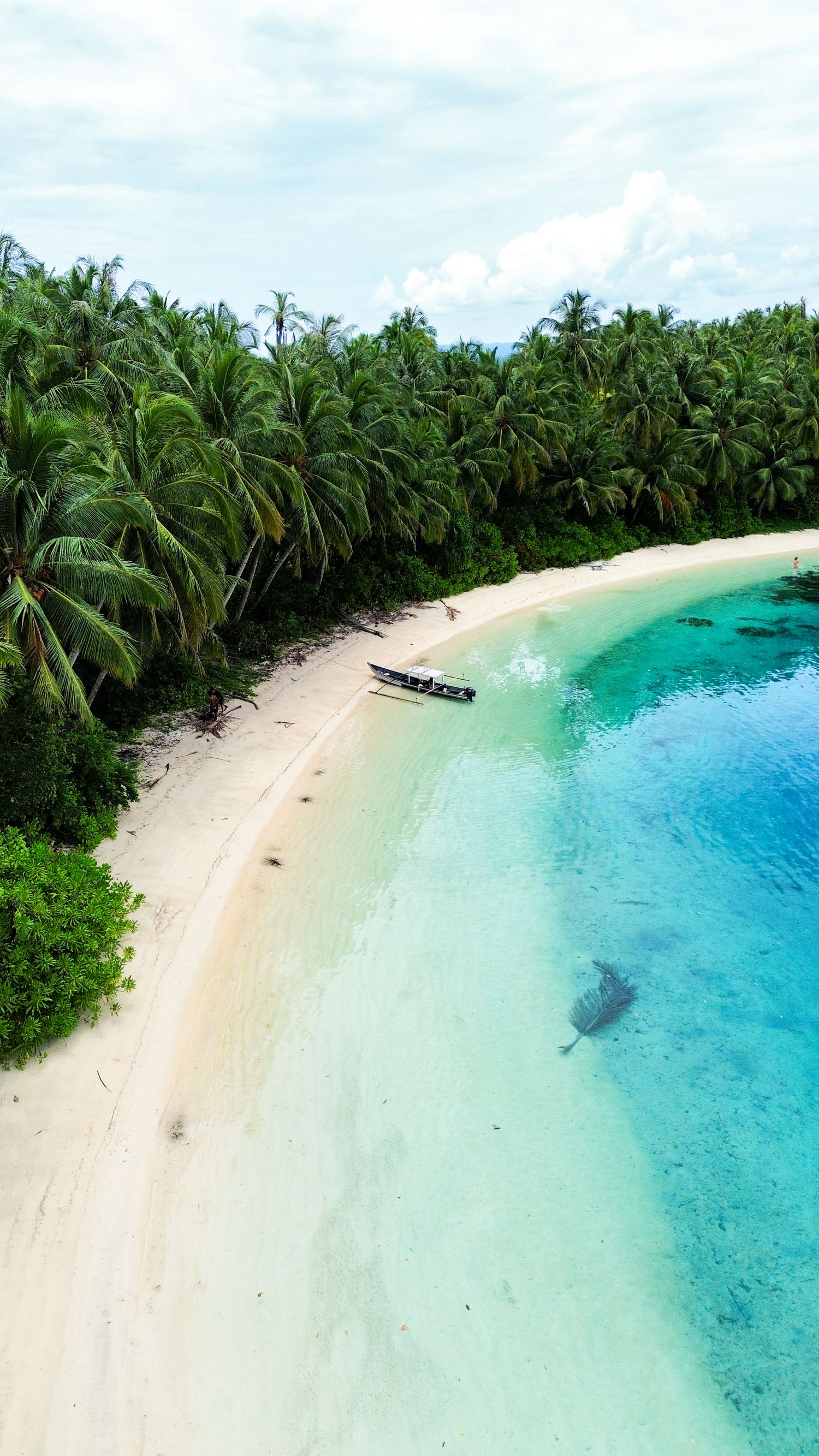 Pirogue amarrée le long d'une plage de sable blanc —plan drone -  îles Mentawaï, Indonésie