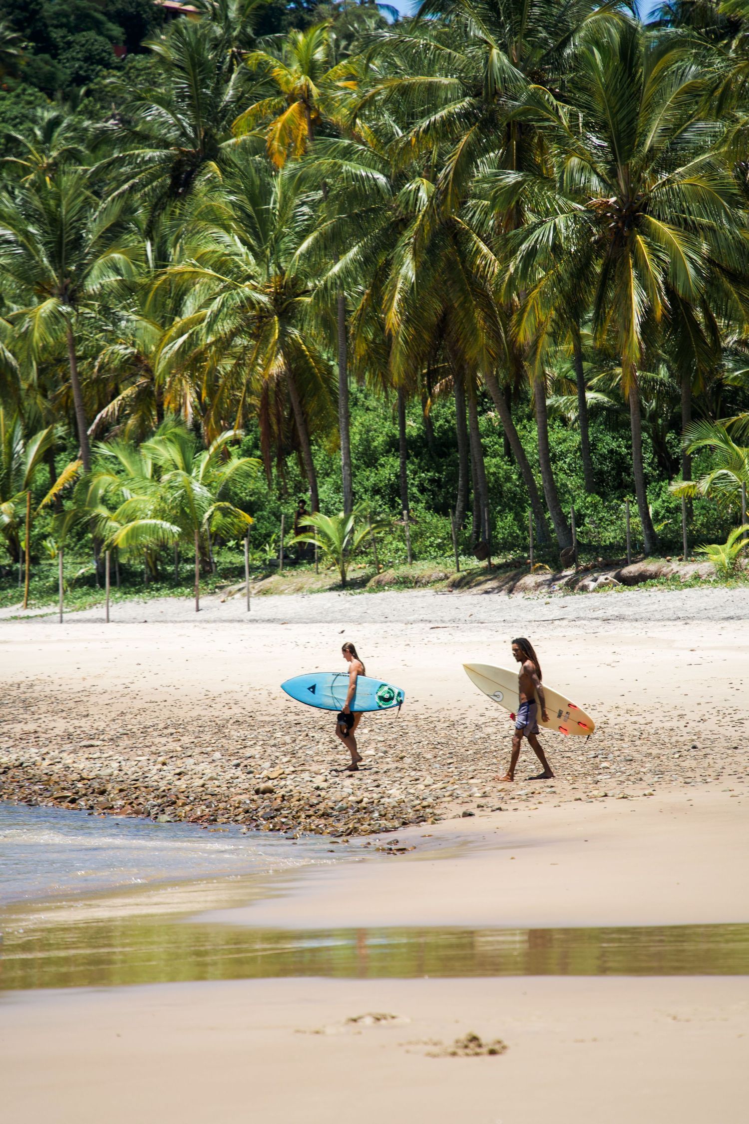 Reportage photo Bahia - Reportage photo Bahia, Brésil : Deux surfeurs marchent sur une plage bordée de cocotiers à Itacaré, Bahia
