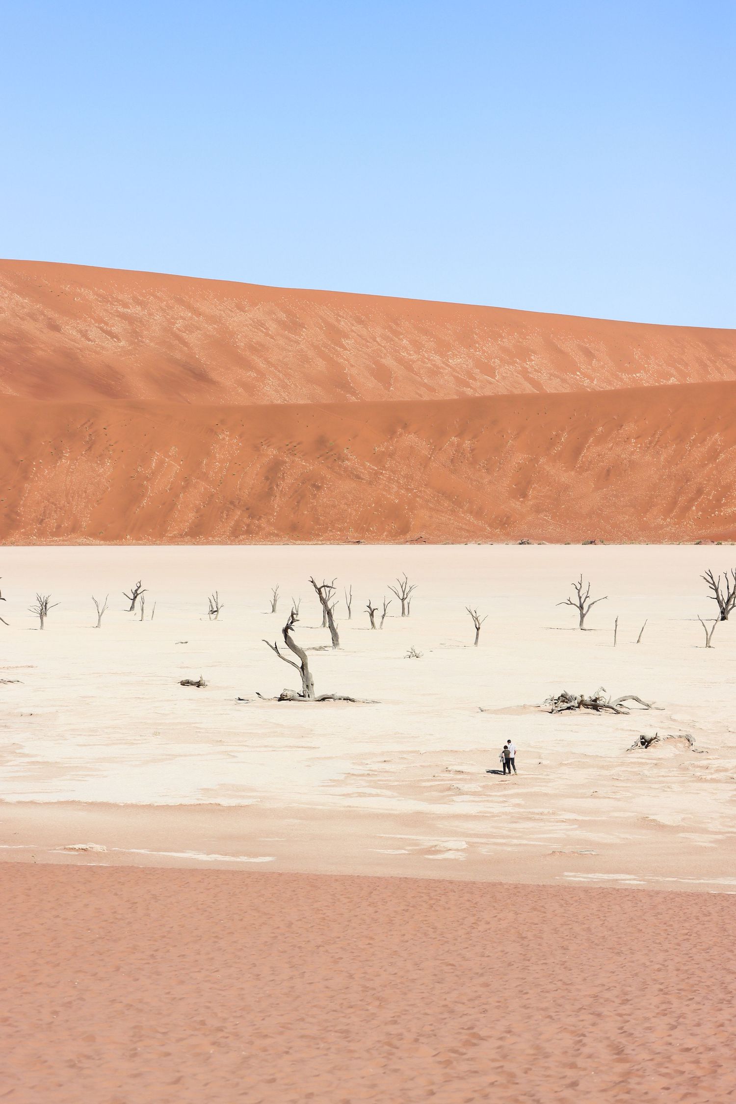 Vue d'ensemble de la cuvette d'argile blanche cernée par les dunes — Deadvlei, Sossusvlei, Namibie