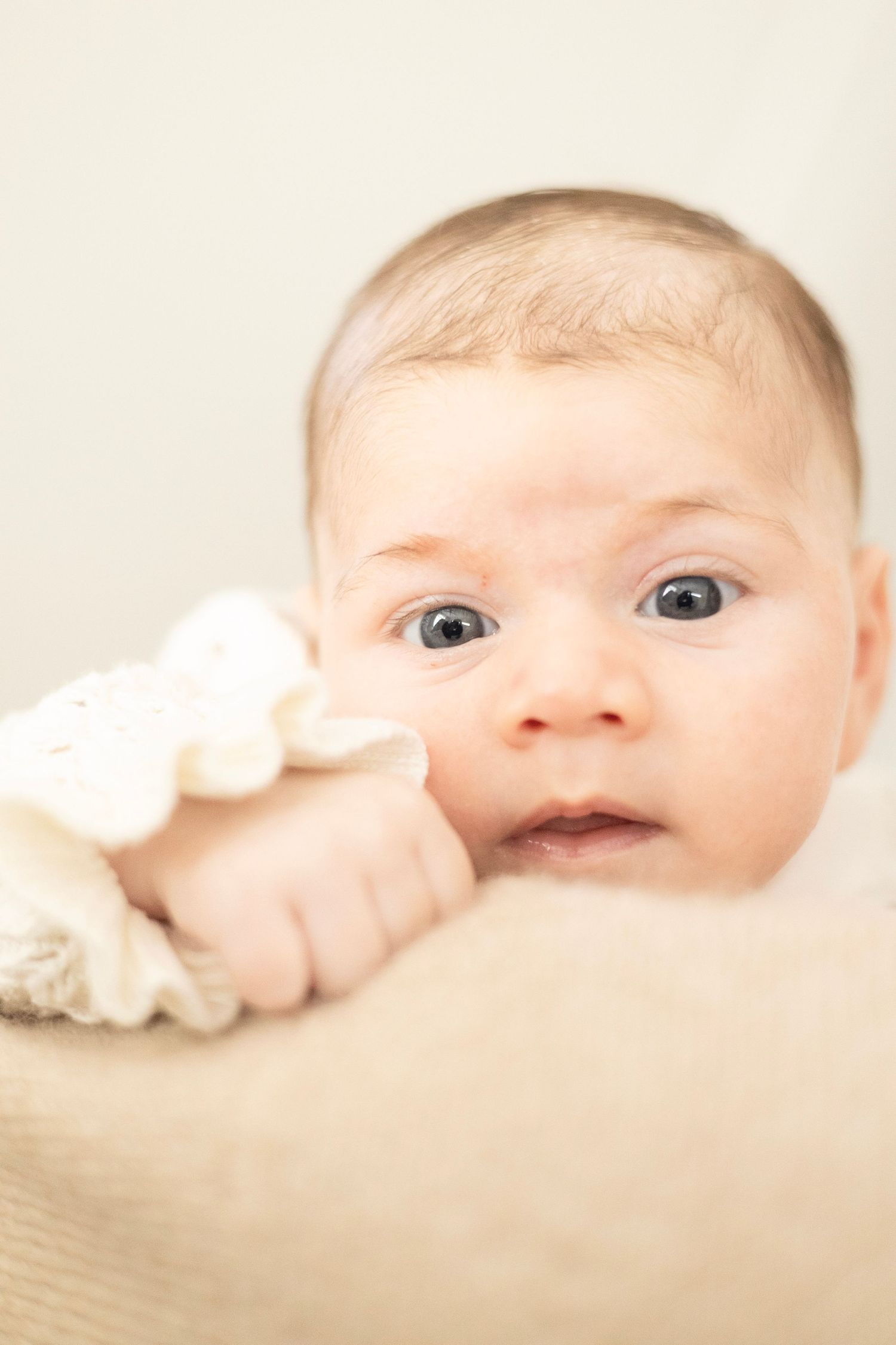 newborn home photography session western adelaide