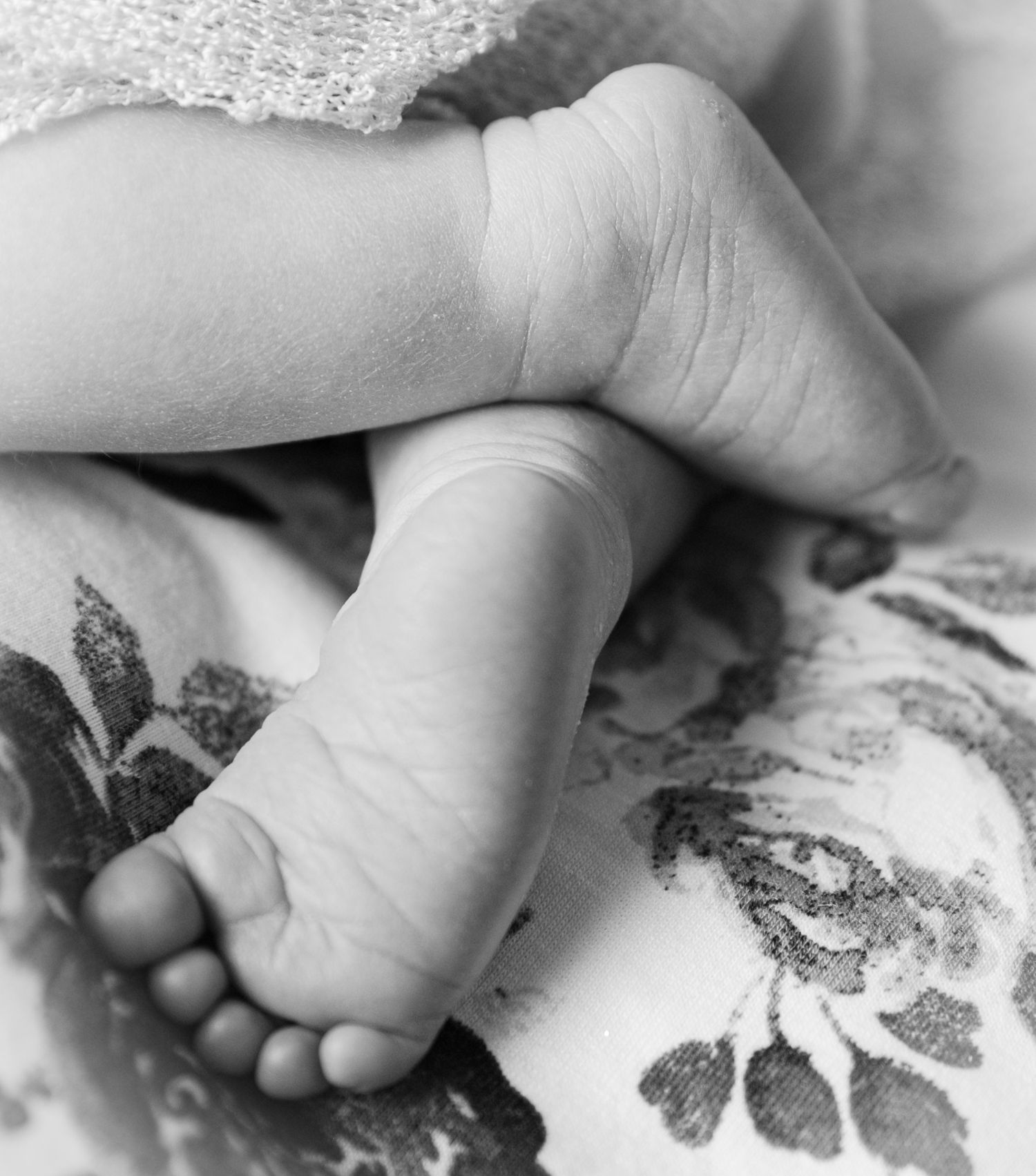 Close-up black and white photo of a baby's tiny feet by Tiny Toes to Tassels Photography