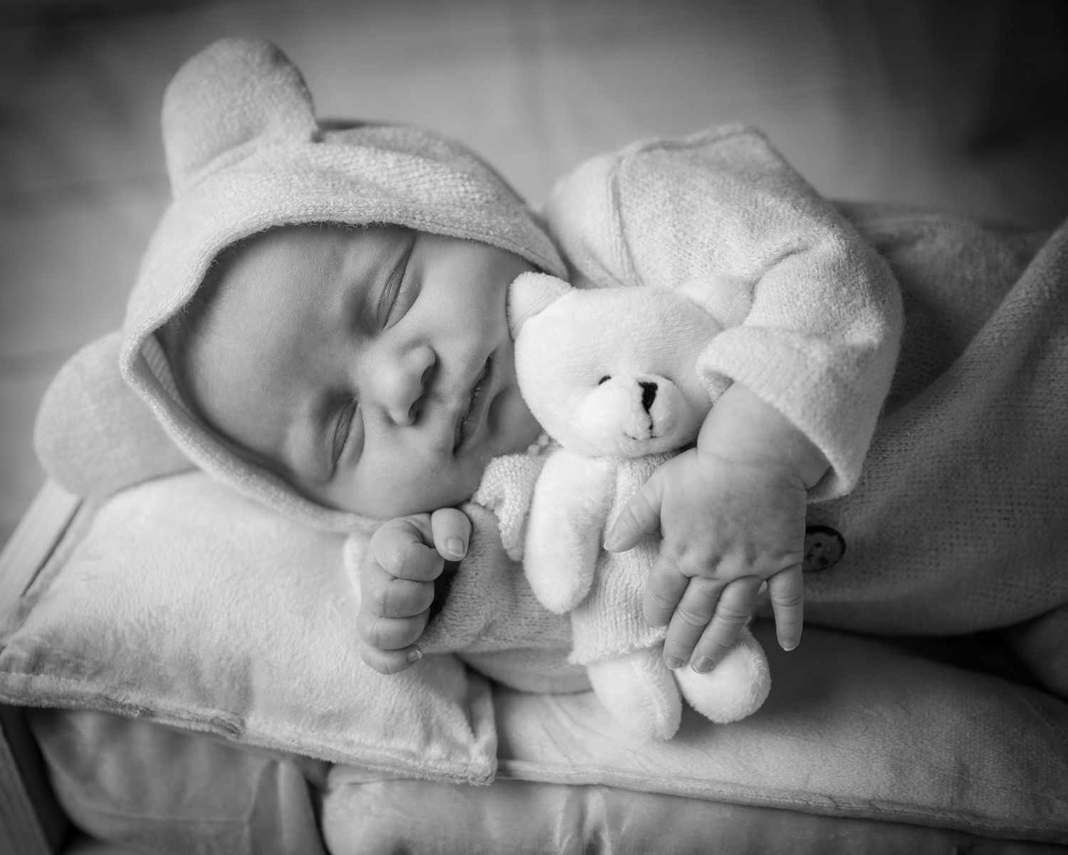 Close-up portrait of a sleeping newborn baby wrapped cozily by Tiny Toes to Tassels Photography