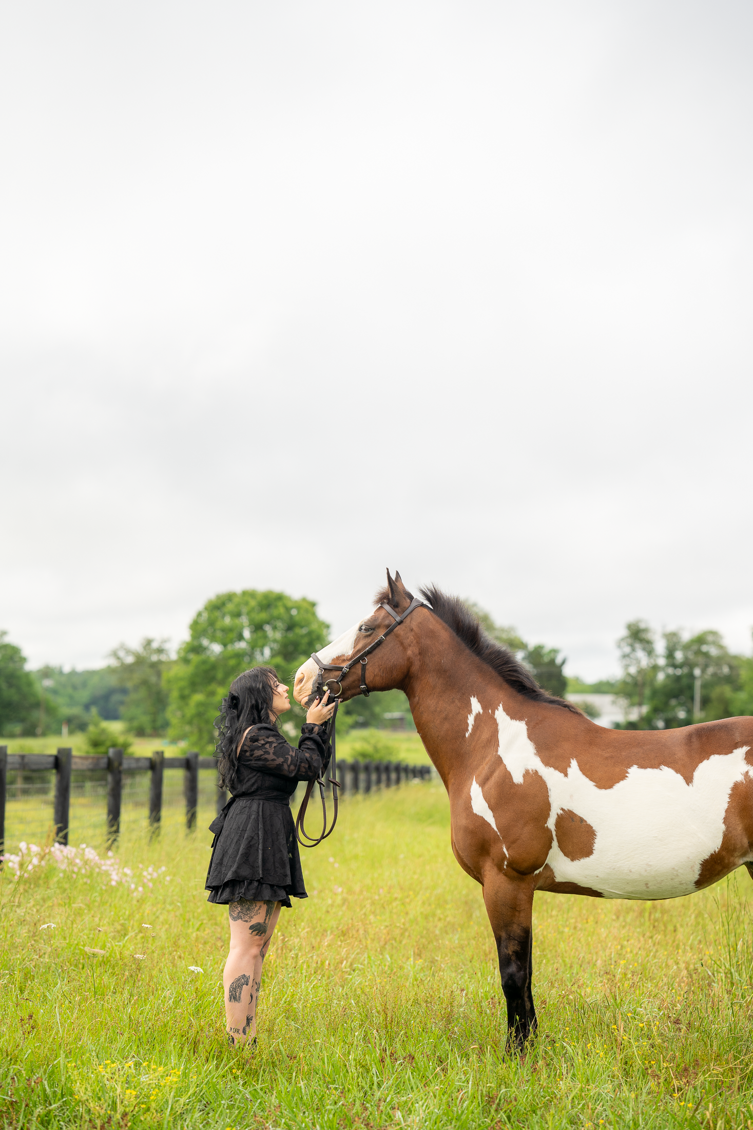Equine portrait photography featuring a girl kissing her Paint horse’s nose in a field by a fence.