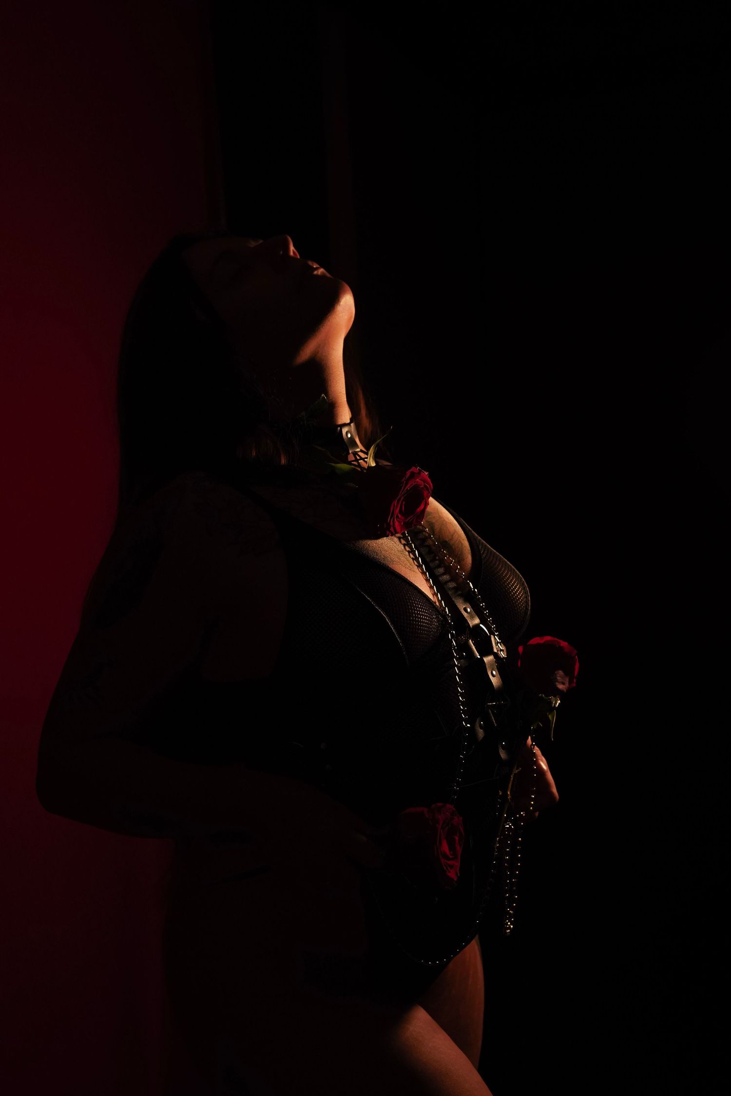 Silhouette of woman in black lingerie with collar and chains posed against dark red background.