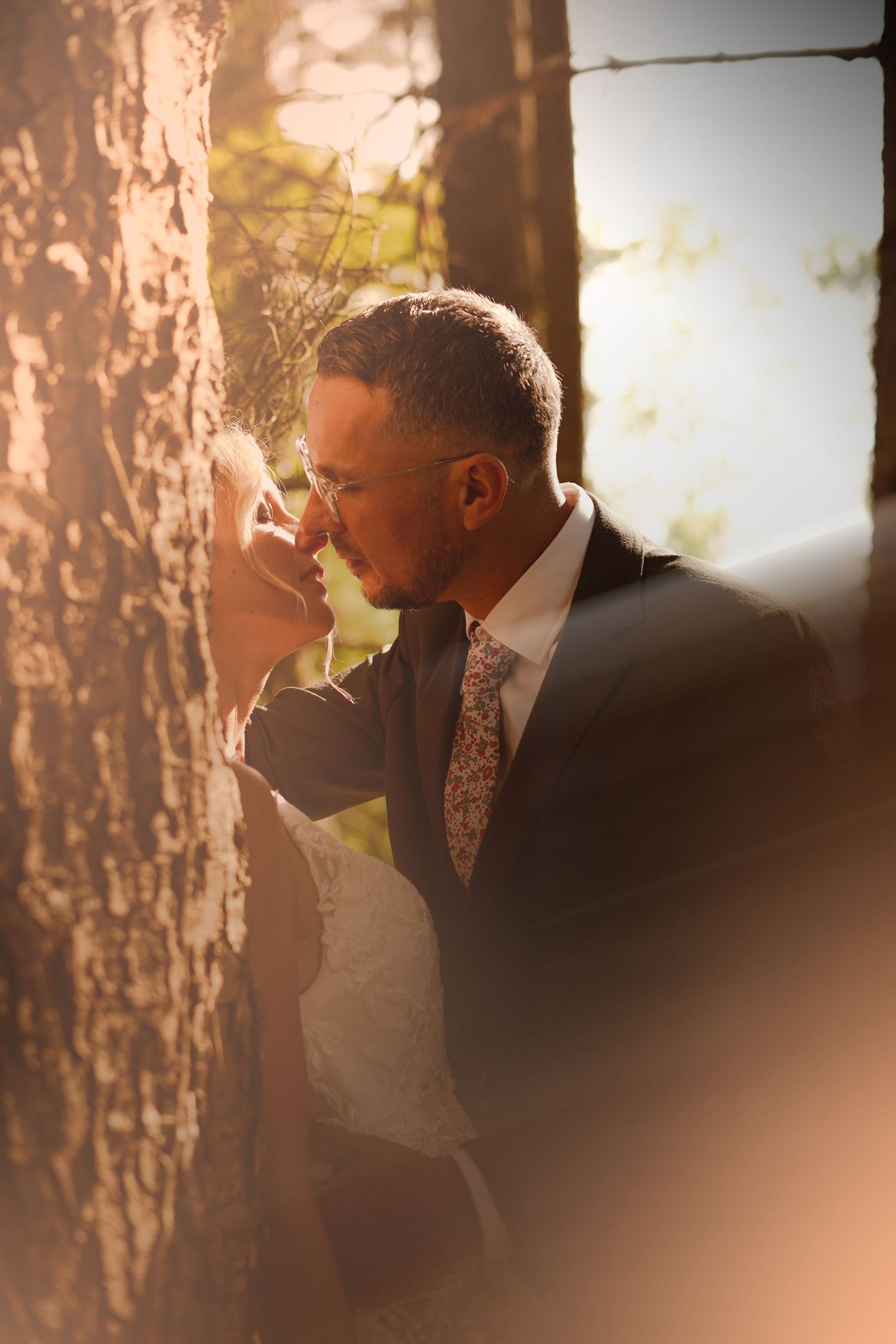 Groom in suit tenderly kissing bride's hand against tree trunk in warm sunlight.