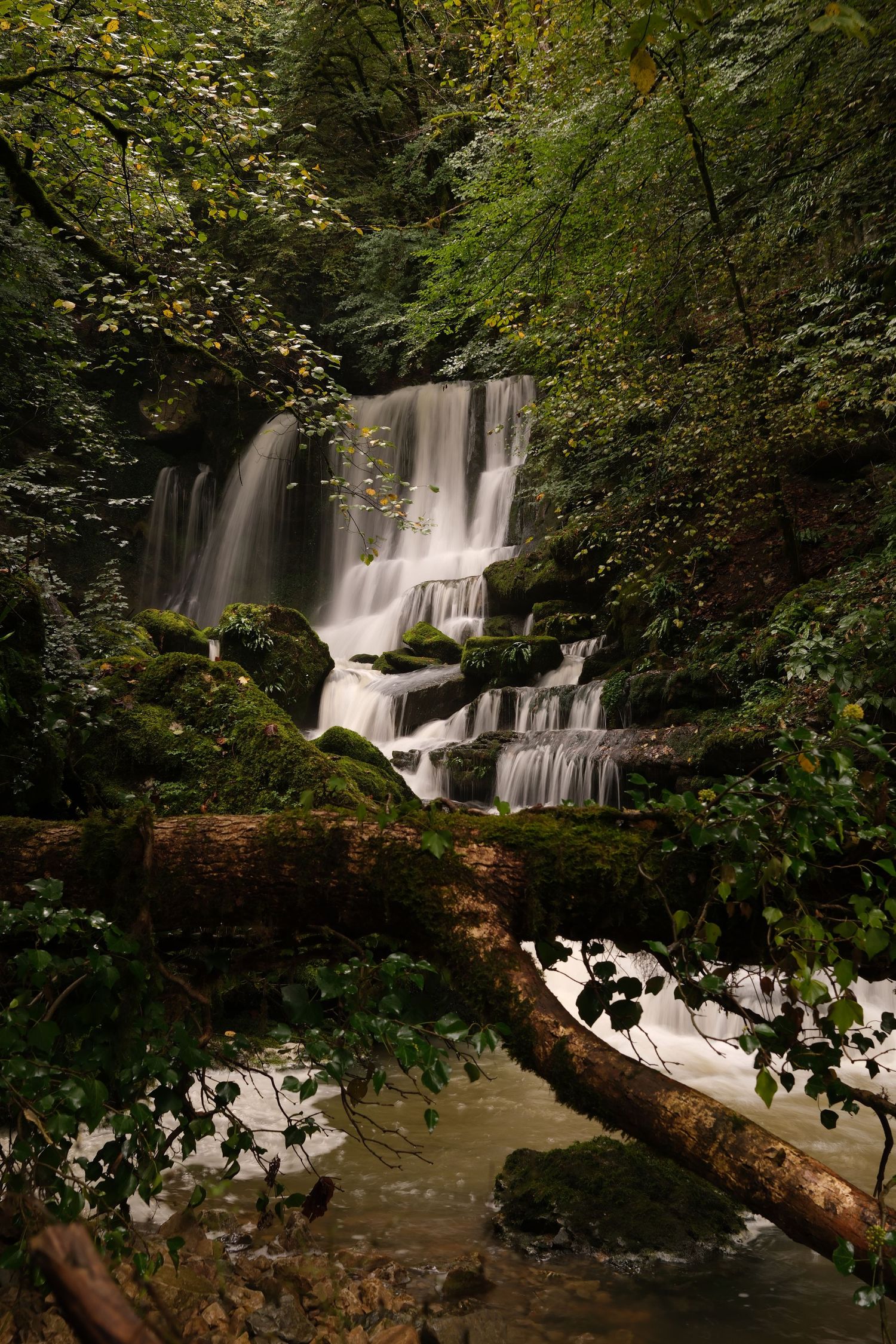 Serene multi-tiered waterfall surrounded by lush green foliage and fallen logs in forest.