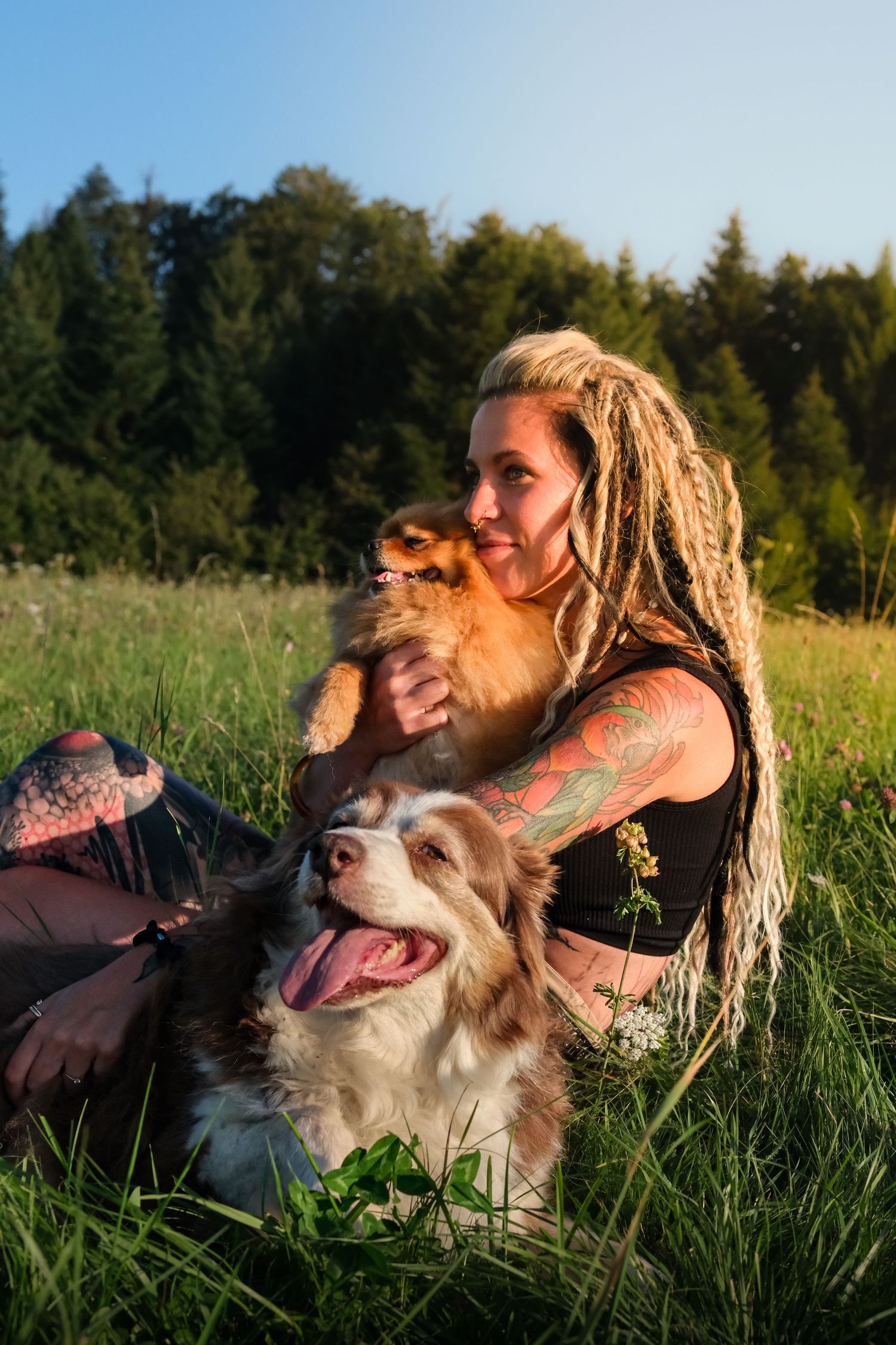 Tattooed woman with dreadlocks sitting in sunny meadow with Border Collie and Pomeranian.