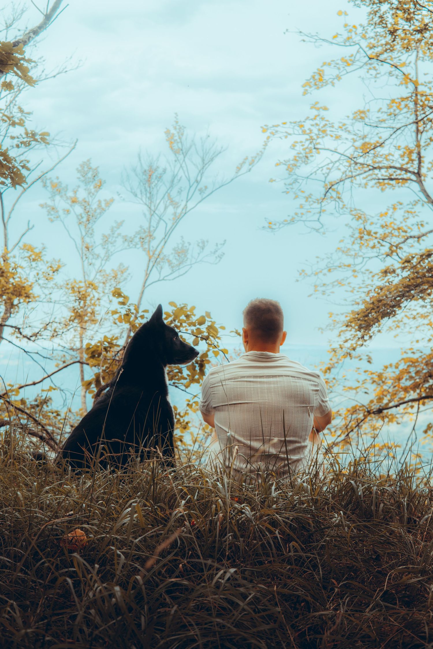 Man and black dog sitting together on hillside overlooking scenic autumn landscape.