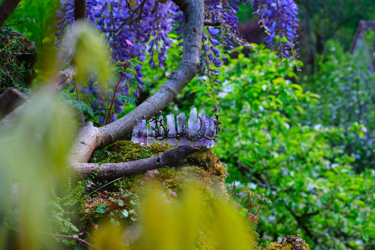 Mystical garden scene with purple wisteria blooms, moss-covered branches, and lush green foliage in soft focus.