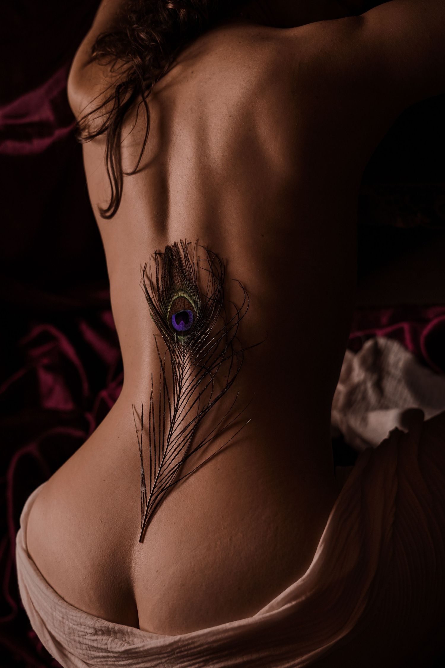 Close-up of a peacock feather resting on a woman's bare back in dramatic dark lighting.
