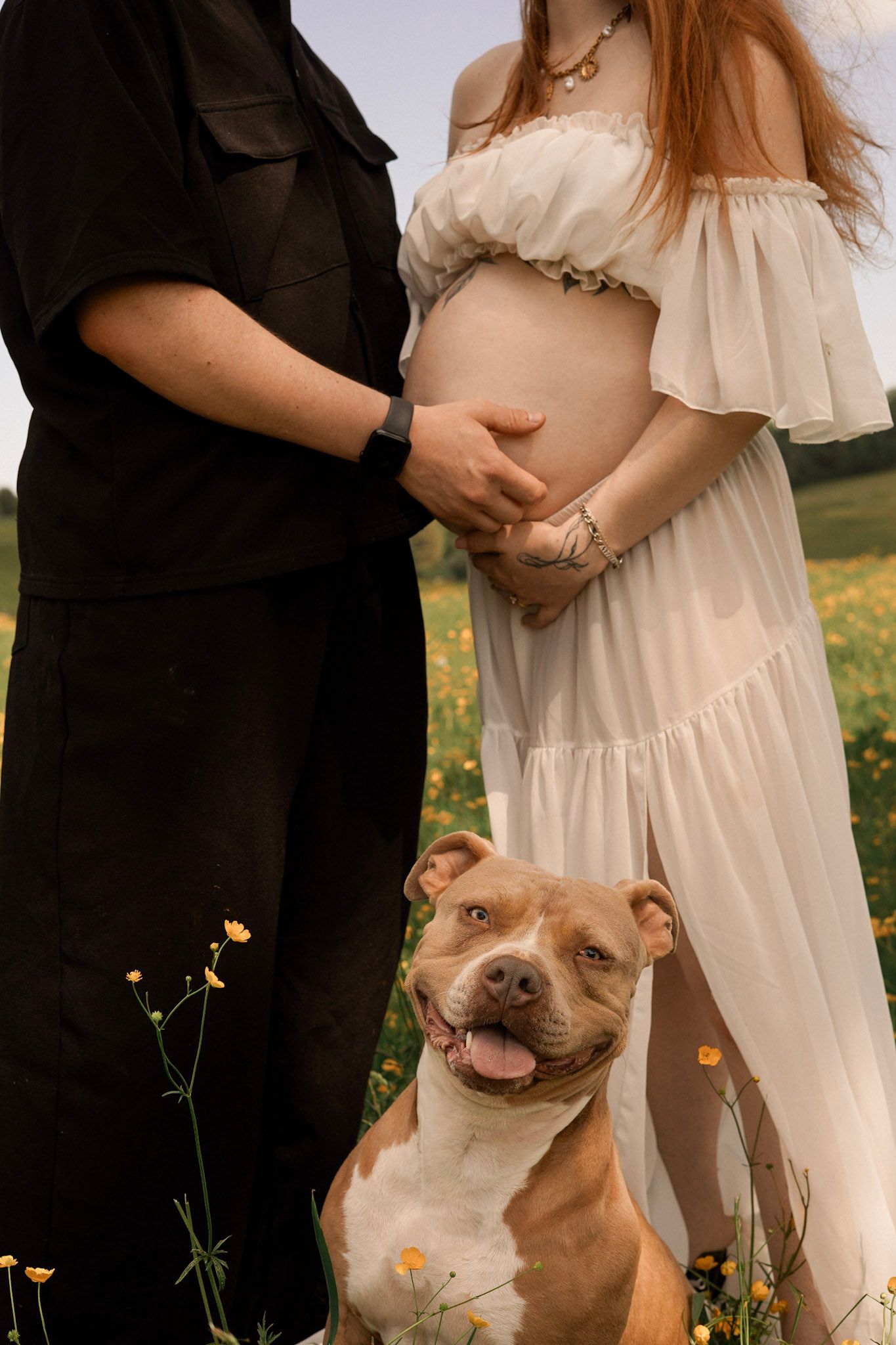 Pregnant couple in a flower field with a smiling brown and white pit bull dog sitting in front of them.