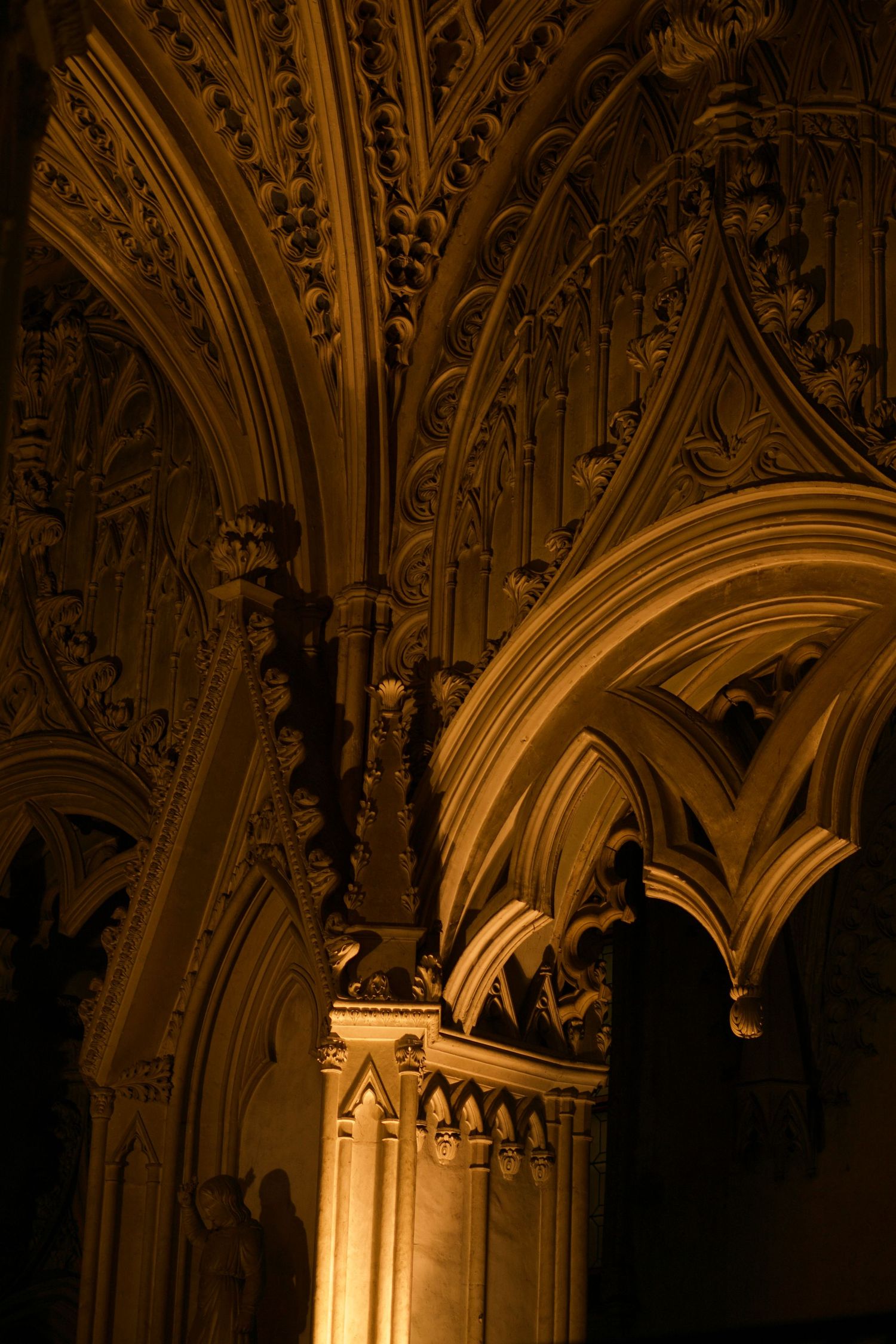 Ornate Gothic cathedral ceiling with intricate stone arches illuminated by warm golden light.