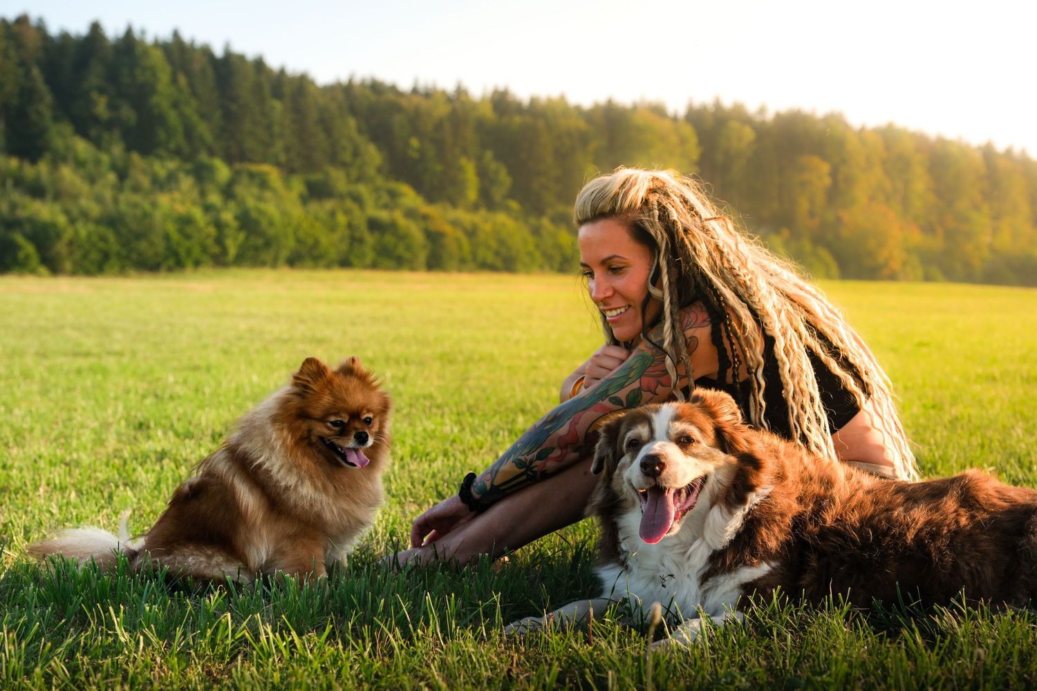Woman with dreadlocks relaxing in green field with Border Collie and Pomeranian dogs.