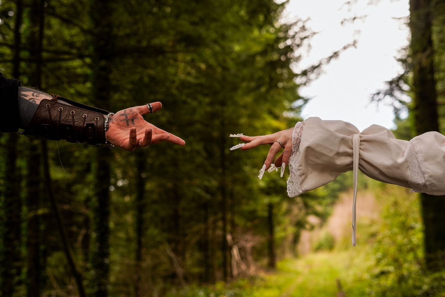 Two hands reaching toward each other in a lush green forest setting.