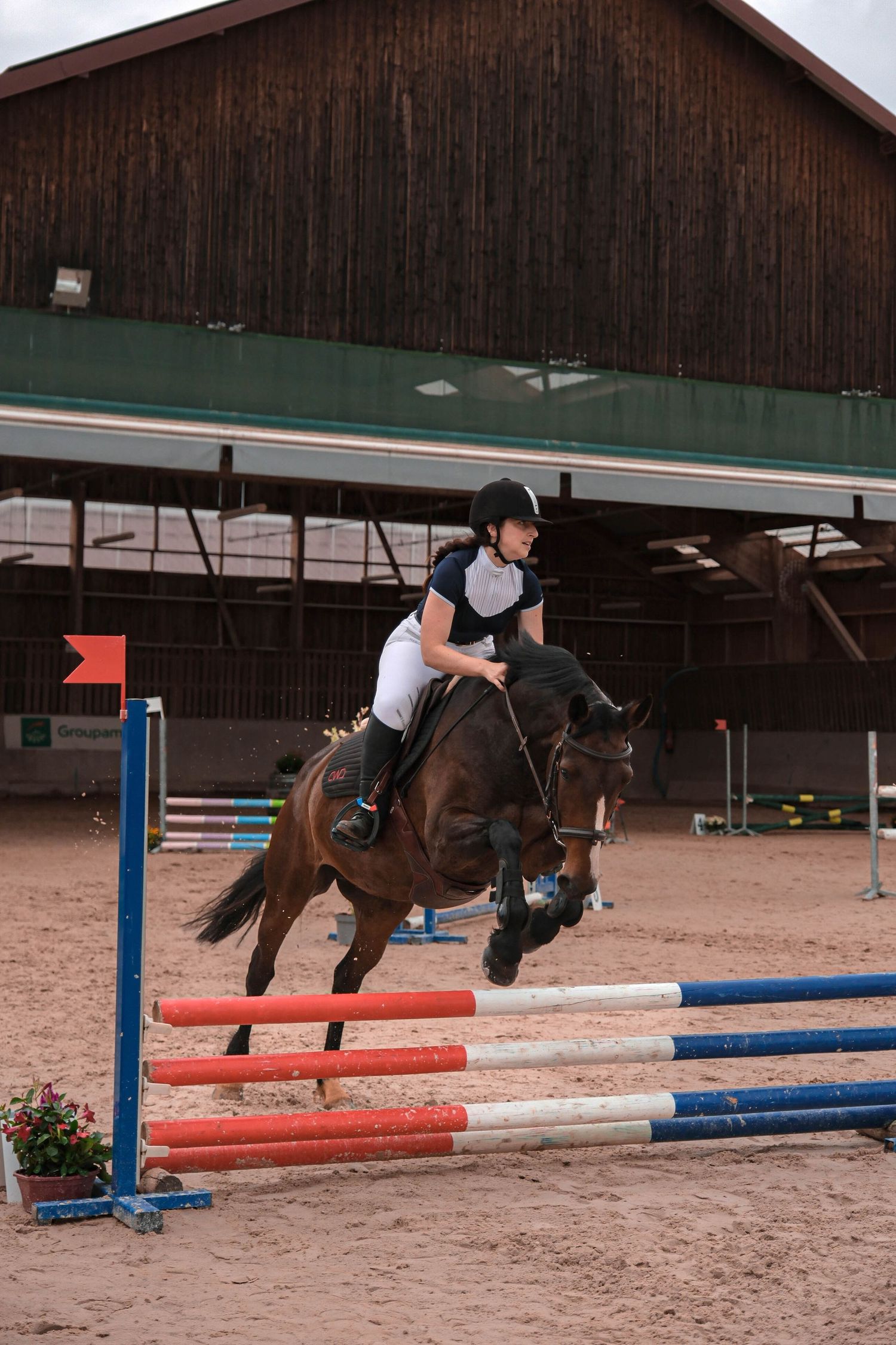 Young equestrian rider on brown horse jumping over colorful show jumping poles in sandy arena.
