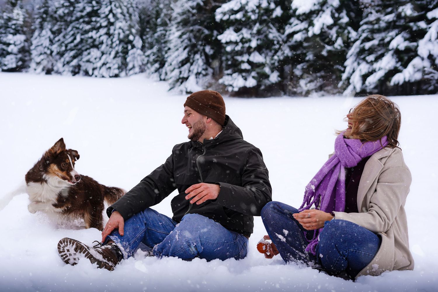 Happy couple sitting in snow with their Border Collie dog in a winter forest setting.