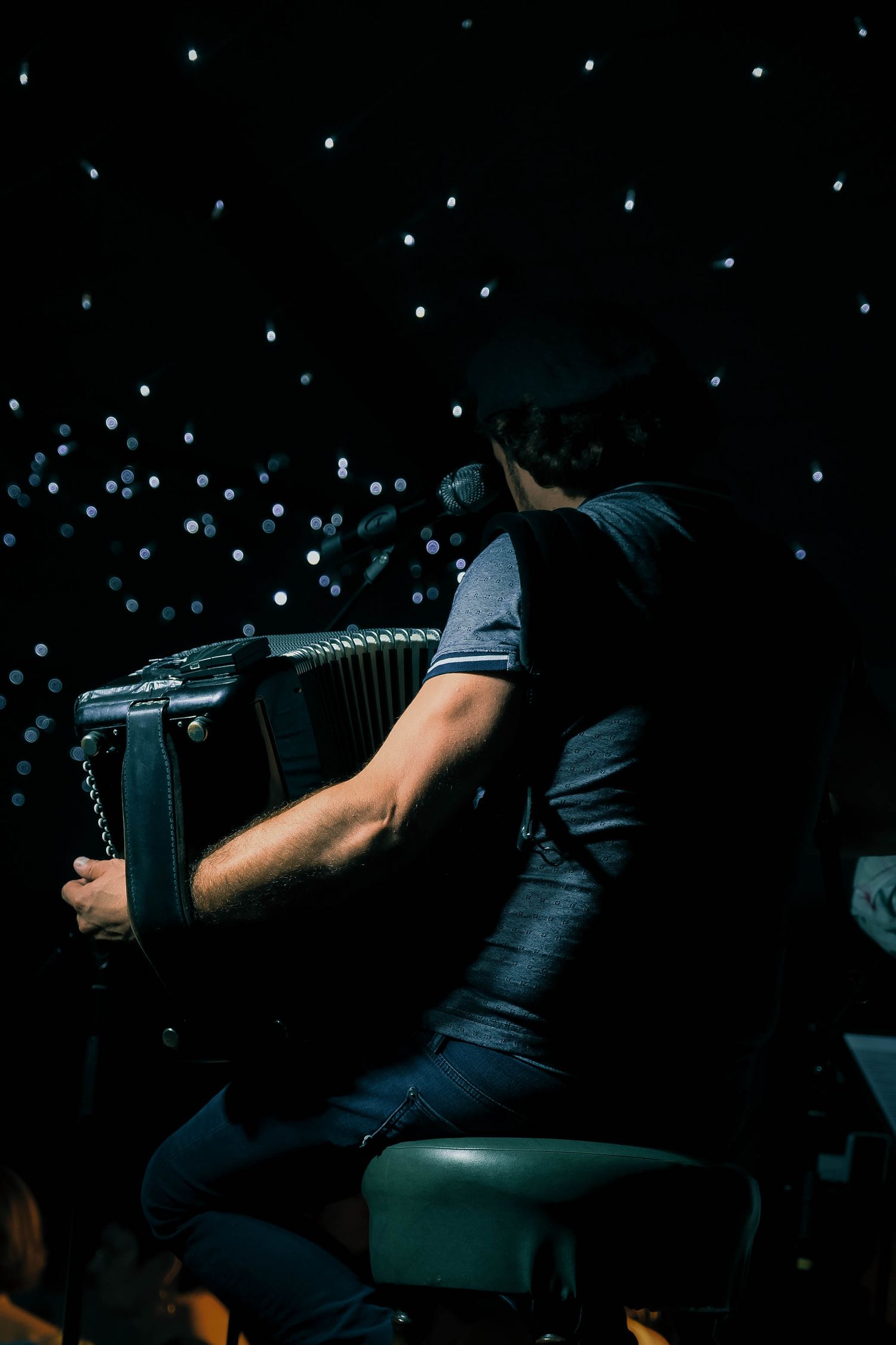 Musician playing accordion on dark stage with bokeh lights in background during live performance.