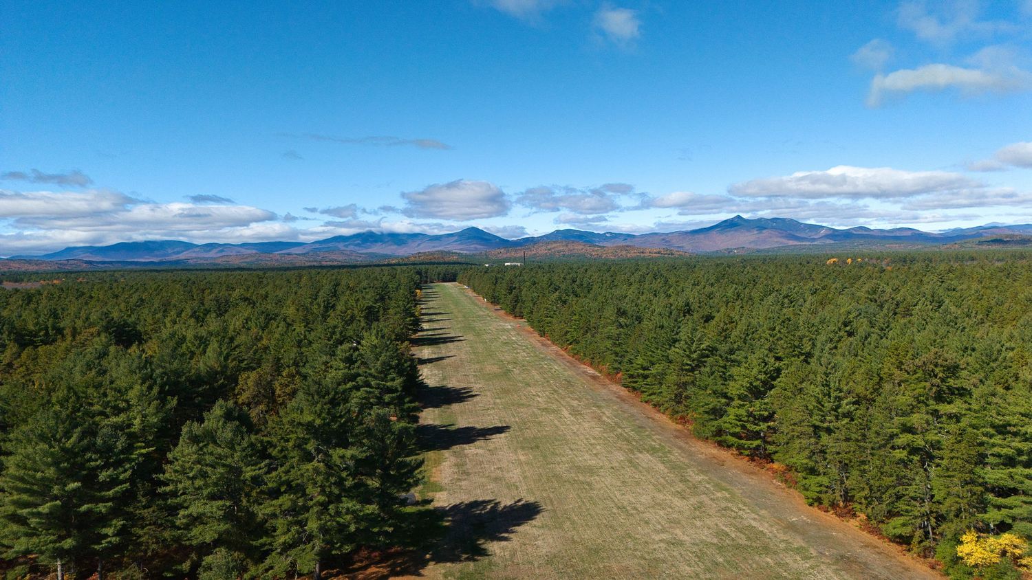 A panoramic view of rolling hills with evergreen forests stretching to distant mountains under a blue summer sky.