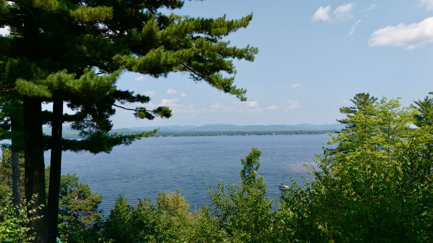 Pine trees frame a panoramic view of blue ocean waters and distant mountains under bright summer skies.