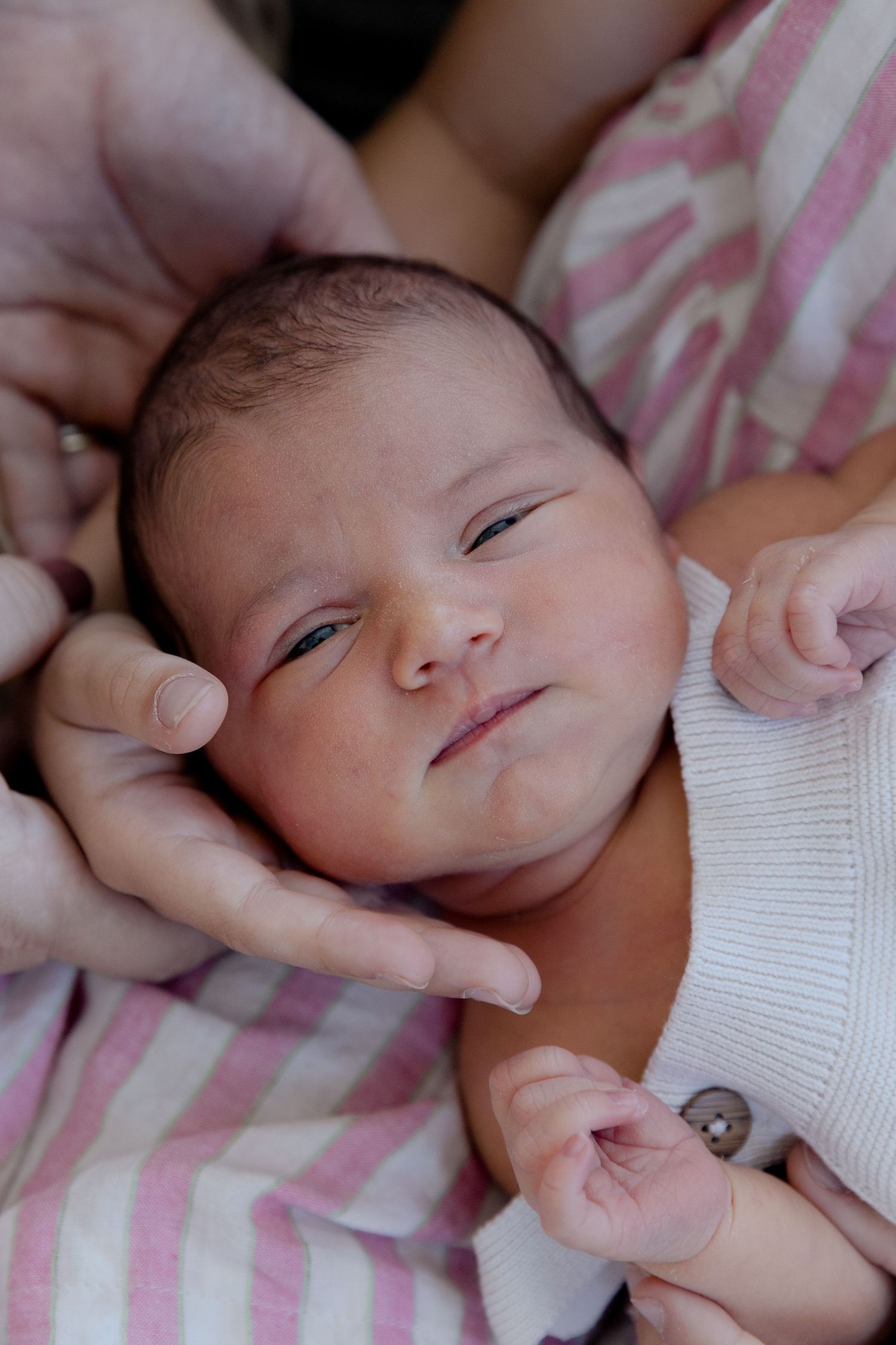 Newborn Photographer Robina