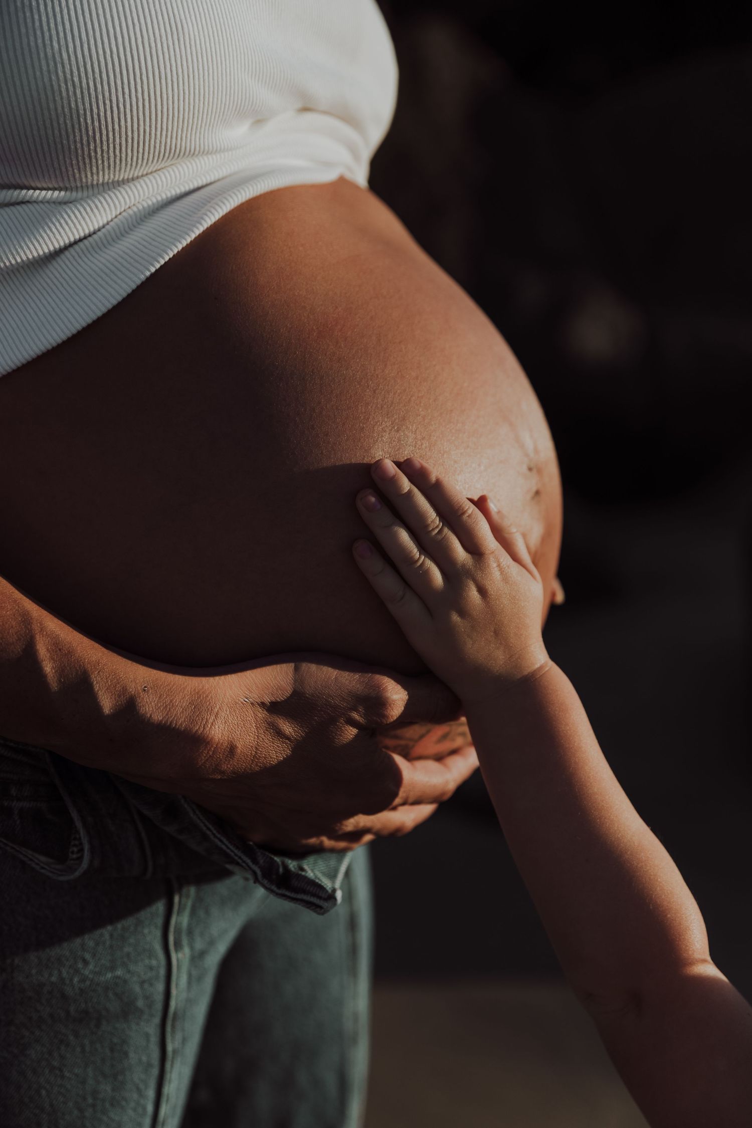 Maternity photographer palm beach