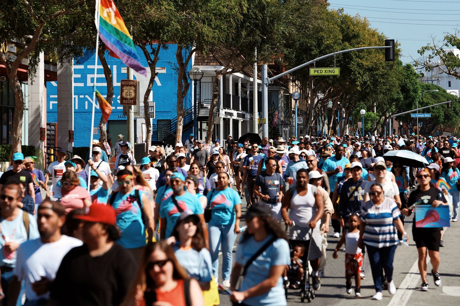 Large crowd of people walking down a street during an outdoor festival or public event on a sunny day.