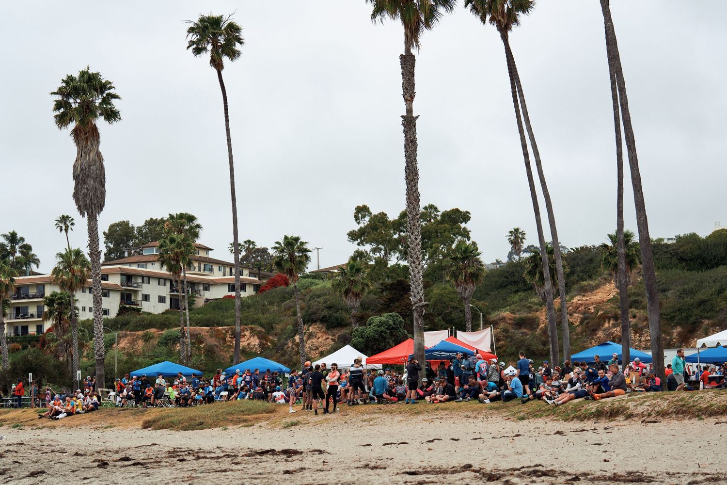 Palm trees line a sunny beach with colorful tents and umbrellas dotting the sandy shoreline.