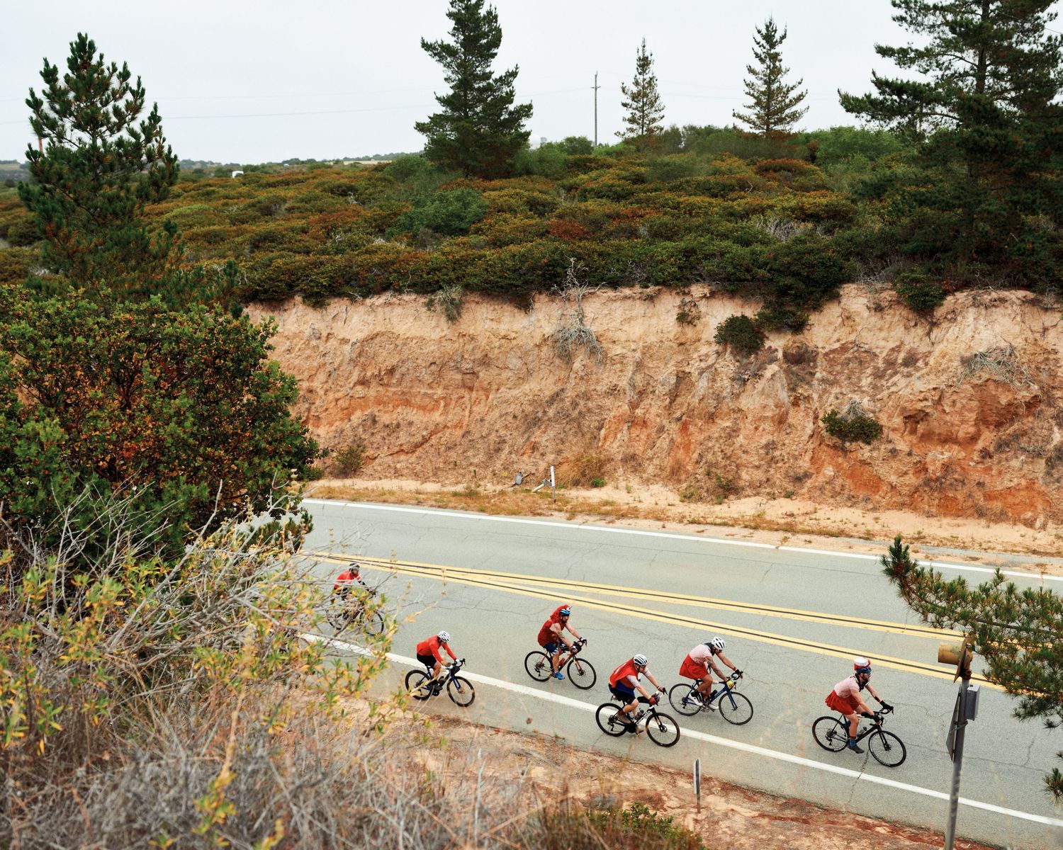 Cyclists riding along a coastal road with cliffs and evergreen trees in the background.