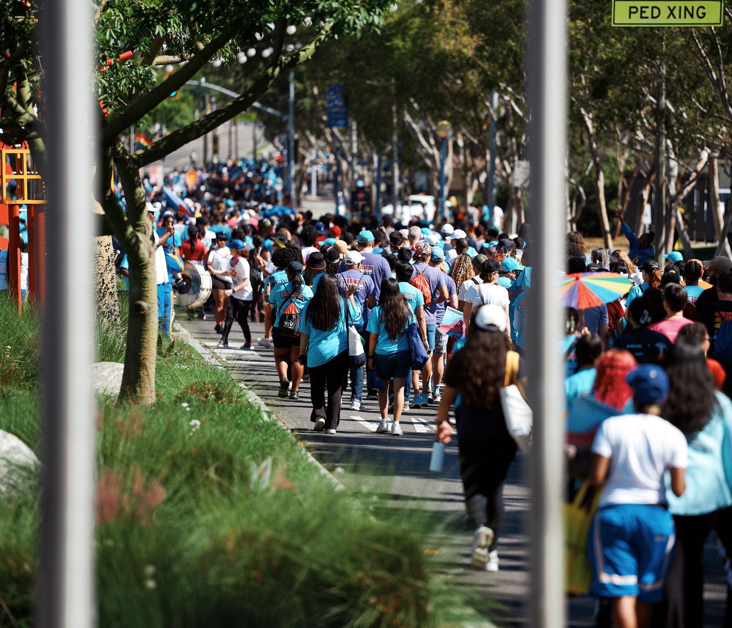 Large crowd of runners in light blue and white shirts participating in a marathon along a tree-lined path.