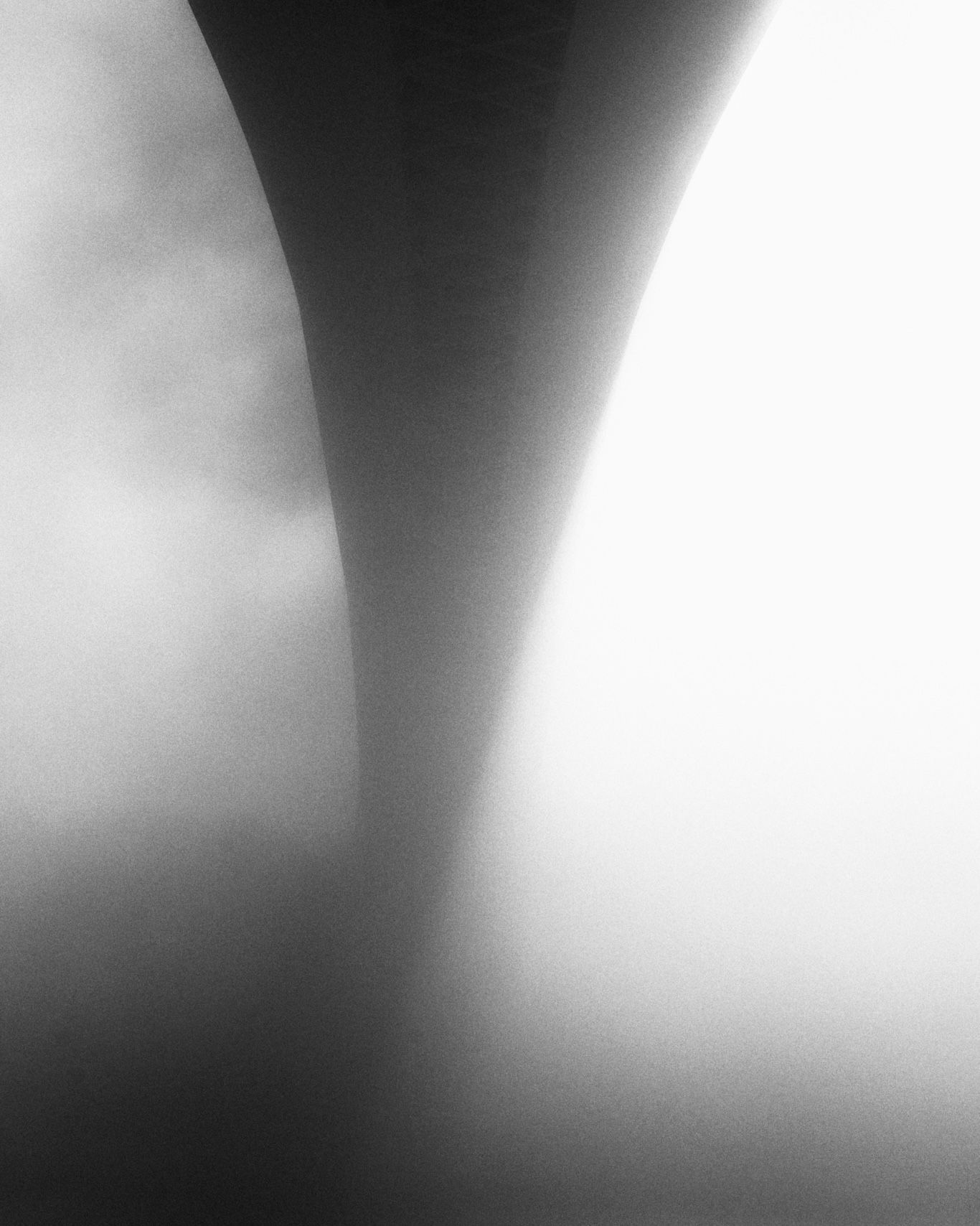 Abstract black and white photograph showing blurred diagonal shapes with soft gradients and contrasting light patterns.