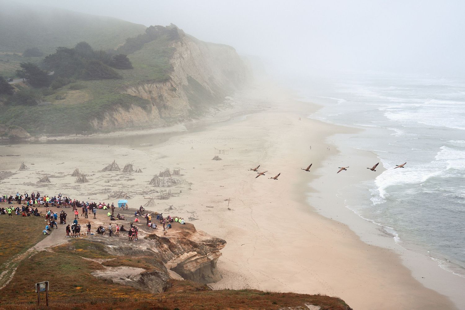 Riders rest at a coastal stop as pelicans fly past on Day 1 of AIDS/LifeCycle, June 2025. (Afonso Salcedo)